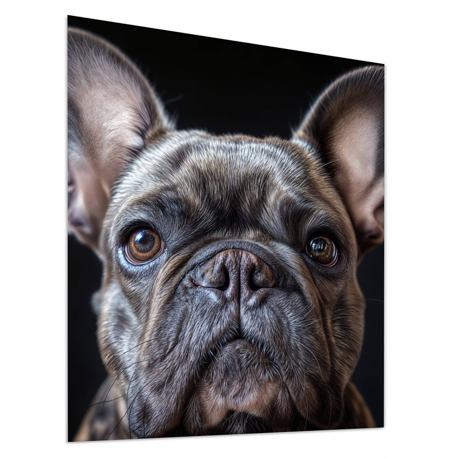 #grösse_90 x 100 cm