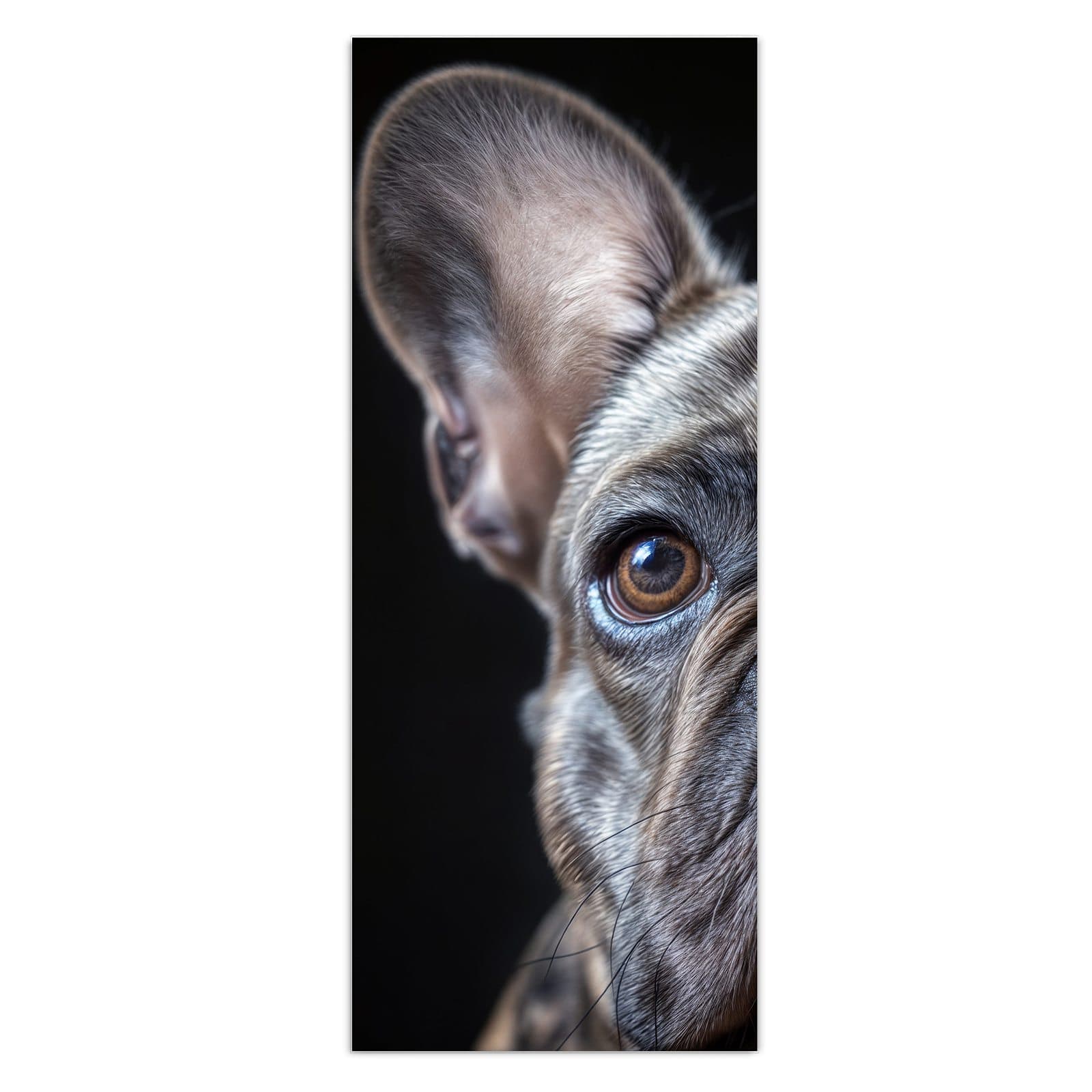 #grösse_50 x 125 cm #grösse_40 x 100 cm #grösse_60 x 150 cm