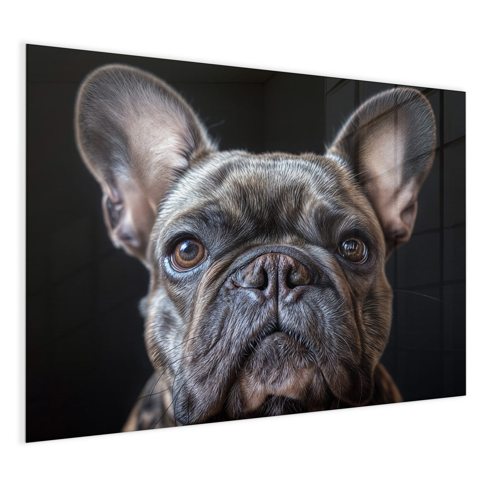 #grösse_120 x 90 cm