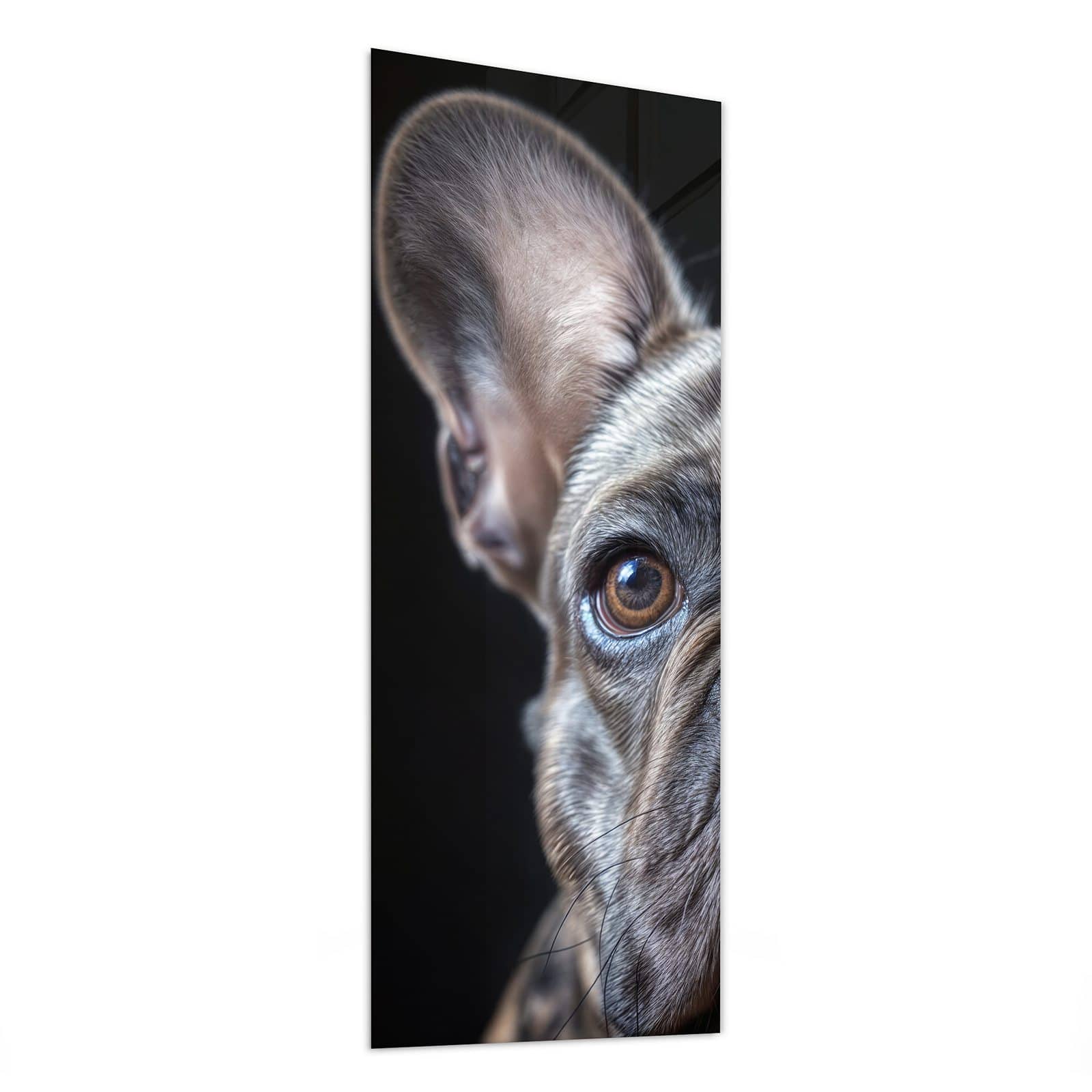 #grösse_50 x 125 cm #grösse_40 x 100 cm #grösse_60 x 150 cm