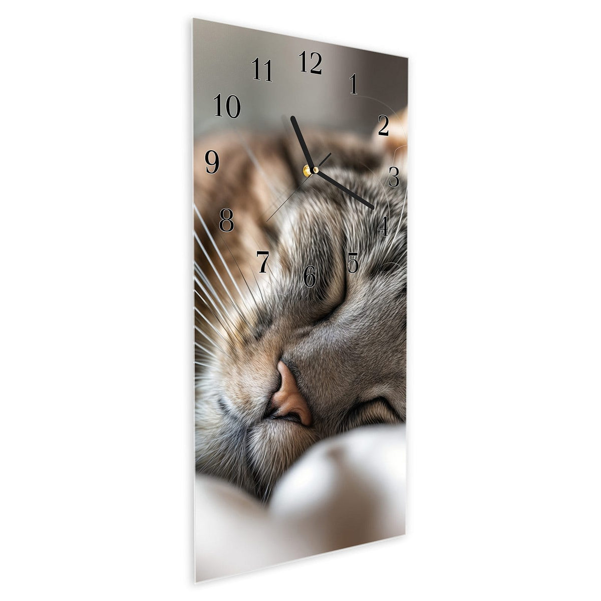 Vormontiert – mit Schwebeeffekt – Wanduhr Schlummernde Katze Portrait aus Glas – Hochformat 30 × 60 cm