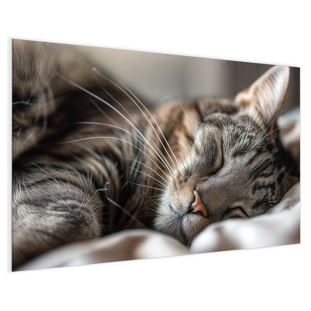 4 mm Glas statt lackiertem Blech – Magnettafel - Schlummernde Katze