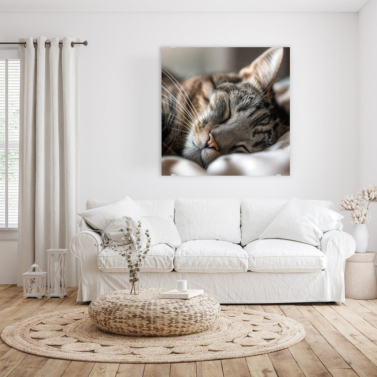 Glasbild Schlummernde Katze an der Wand – Getigerte Katze schlaeft zusammengerollt auf hellem Kissen, Nahaufnahme