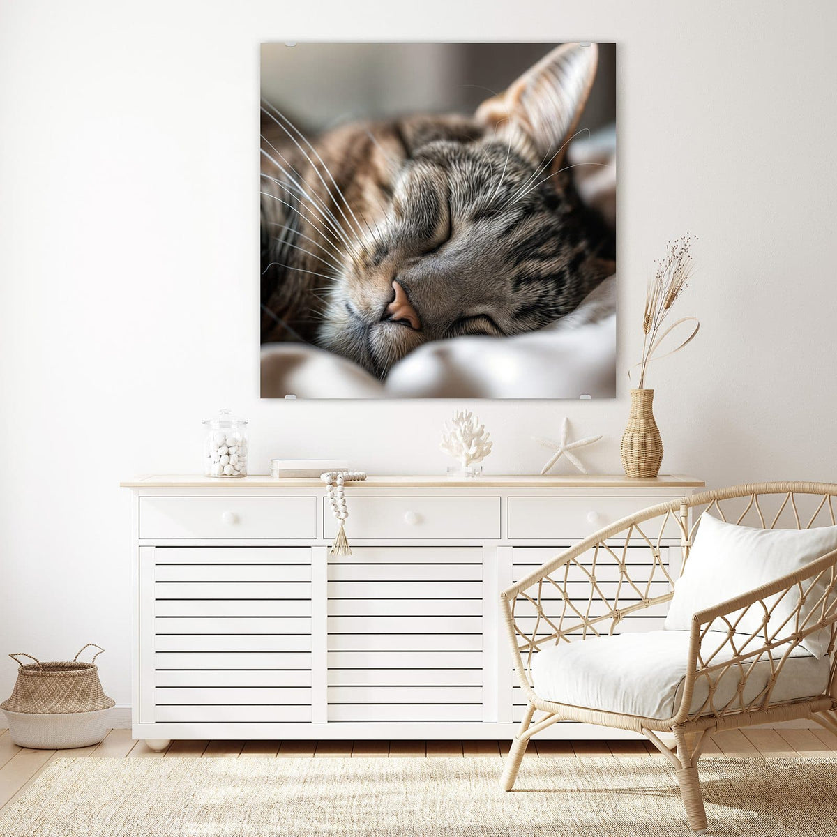 Glasbild Schlummernde Katze an der Wand – Getigerte Katze schlaeft zusammengerollt auf hellem Kissen, Nahaufnahme