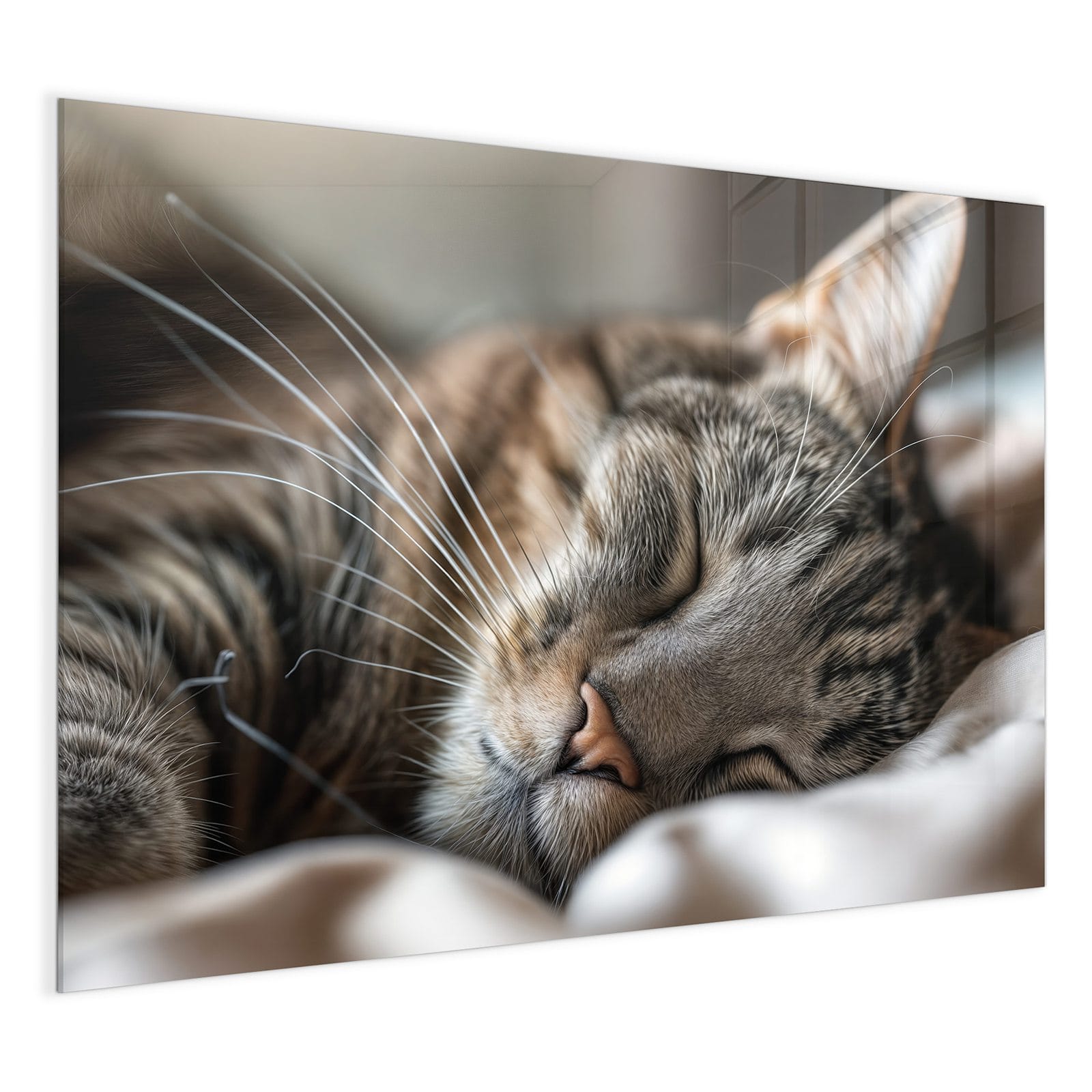 #grösse_120 x 90 cm