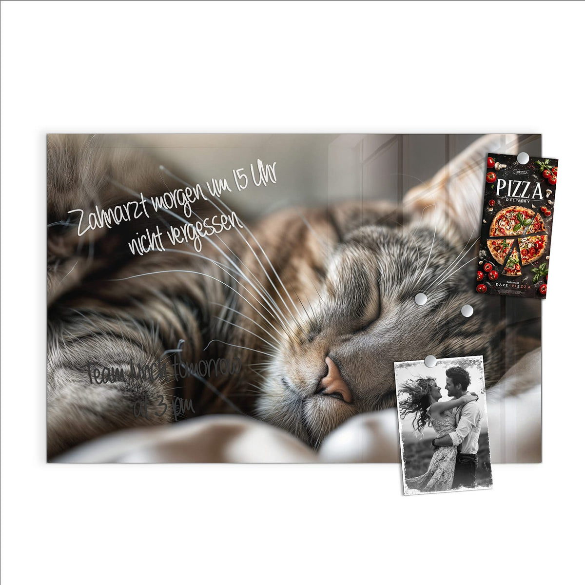 Beschreiben, abwischen, anheften – Magnettafel - Schlummernde Katze
