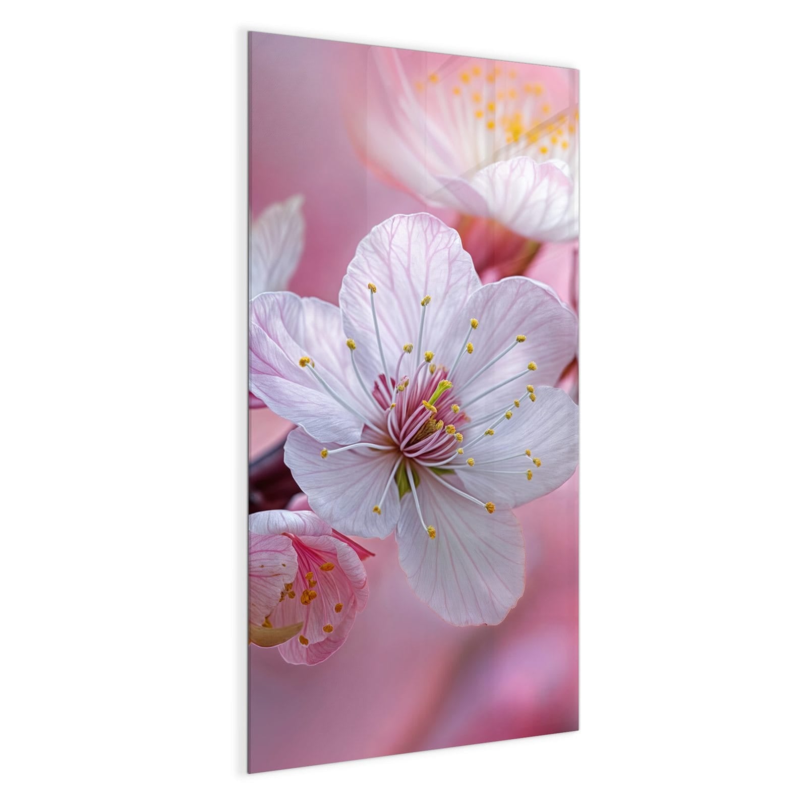 #grösse_50 x 100 cm