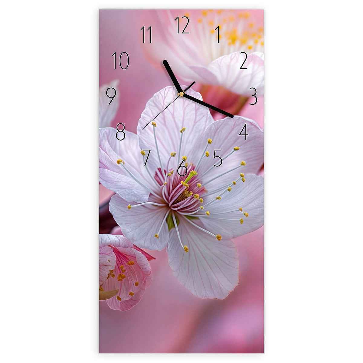 Wanduhr aus Glas, Ziffernblatt Elegant mit Motiv Rosa Blüten am Zweig: Weiß-rosa Kirschblüten mit gelben Staubgefäßen vor rosa Lichtkreisen #ziffernblatt_Elegant