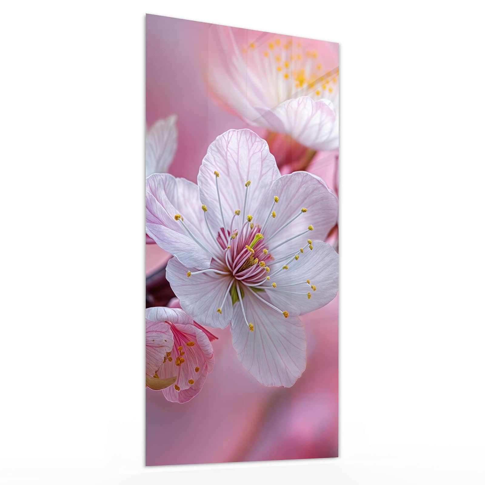 #grösse_30 x 60 cm #grösse_40 x 80 cm #grösse_50 x 100 cm #grösse_55 x 110 cm #grösse_60 x 120 cm