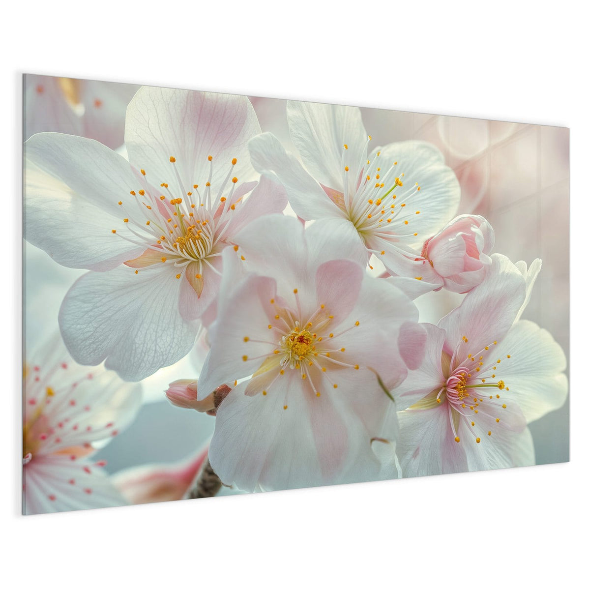 4 mm Glas statt lackiertem Blech – Magnettafel - Weiße Frühlingsblüten