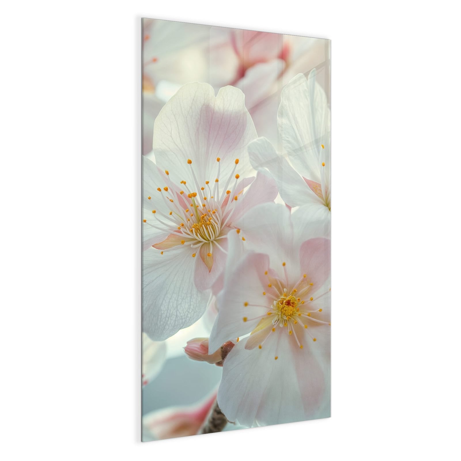 #grösse_50 x 100 cm