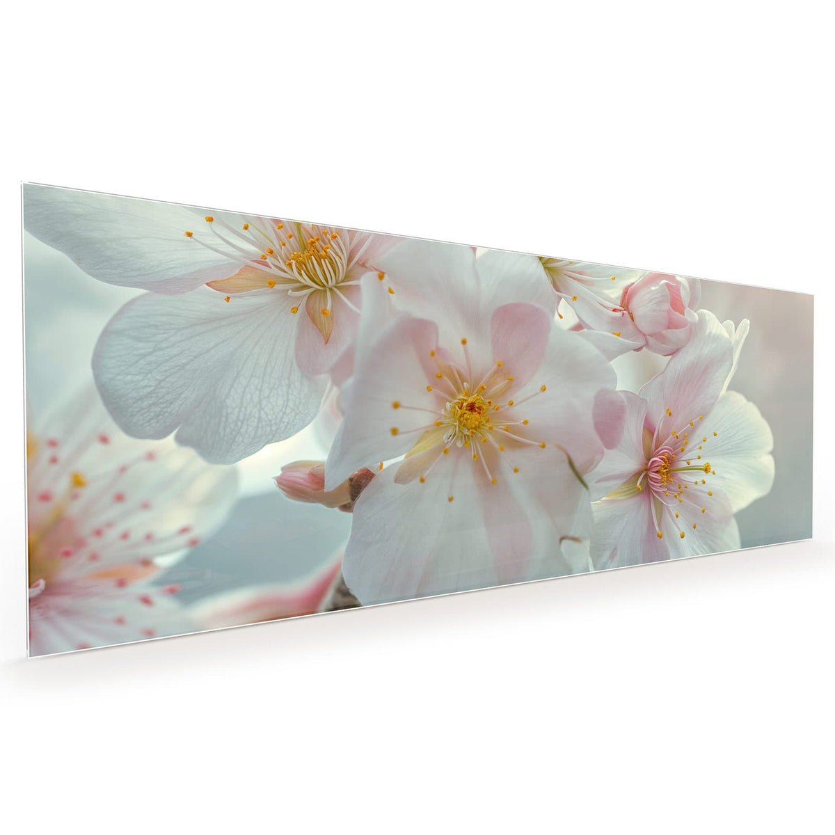 #grösse_40 x 100 cm #grösse_50 x 125 cm #grösse_60 x 150 cm