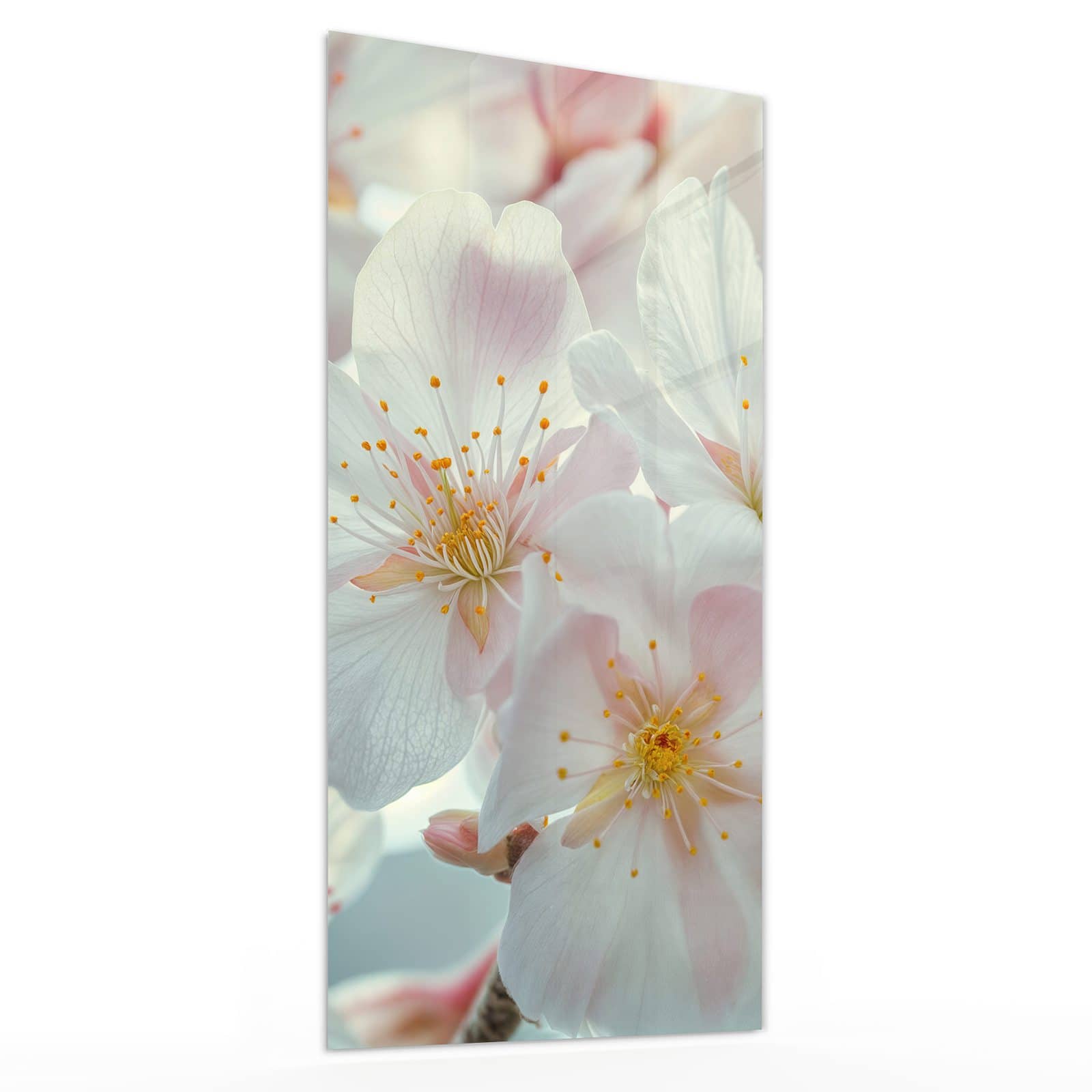 #grösse_30 x 60 cm #grösse_40 x 80 cm #grösse_50 x 100 cm #grösse_55 x 110 cm #grösse_60 x 120 cm