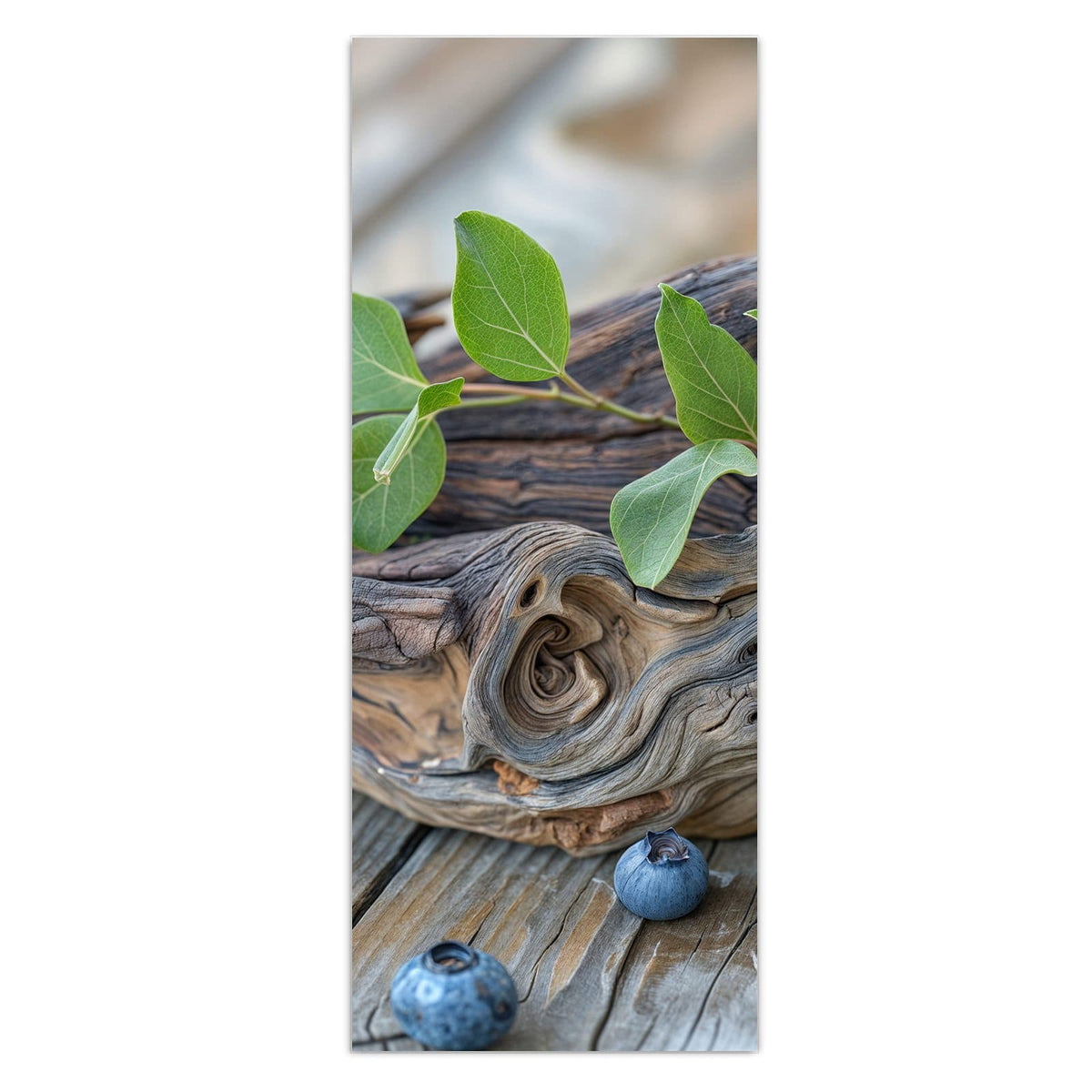 Haufen Blaubeeren mit grünen Blättern auf verwittertem Treibholzast, darunter graue Holzdielen