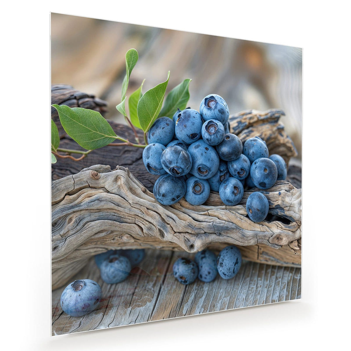 Haufen Blaubeeren mit grünen Blättern auf verwittertem Treibholzast, darunter graue Holzdielen