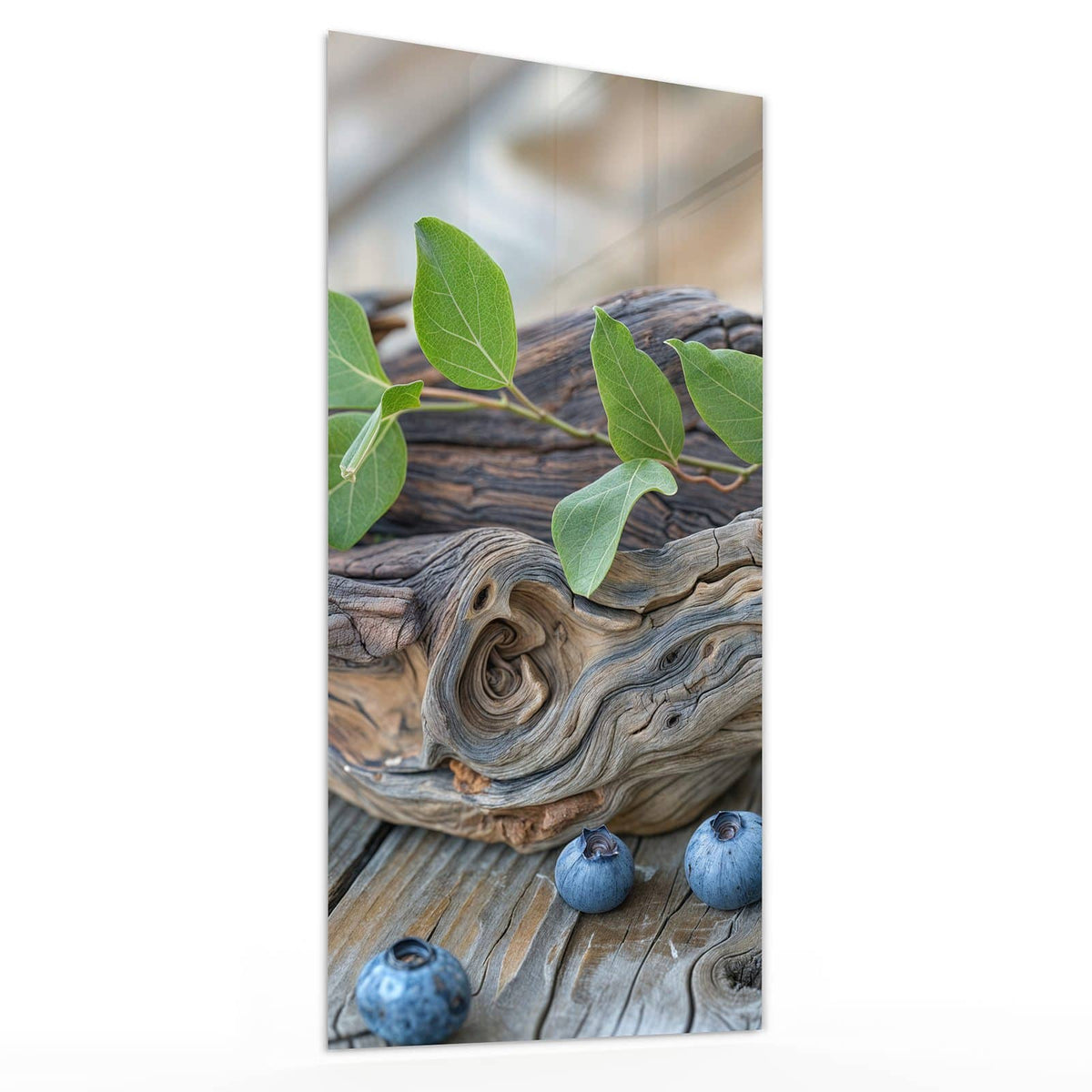 Glasbild Treibholz und Blaubeeren von der Seite, 4 mm Echtglas