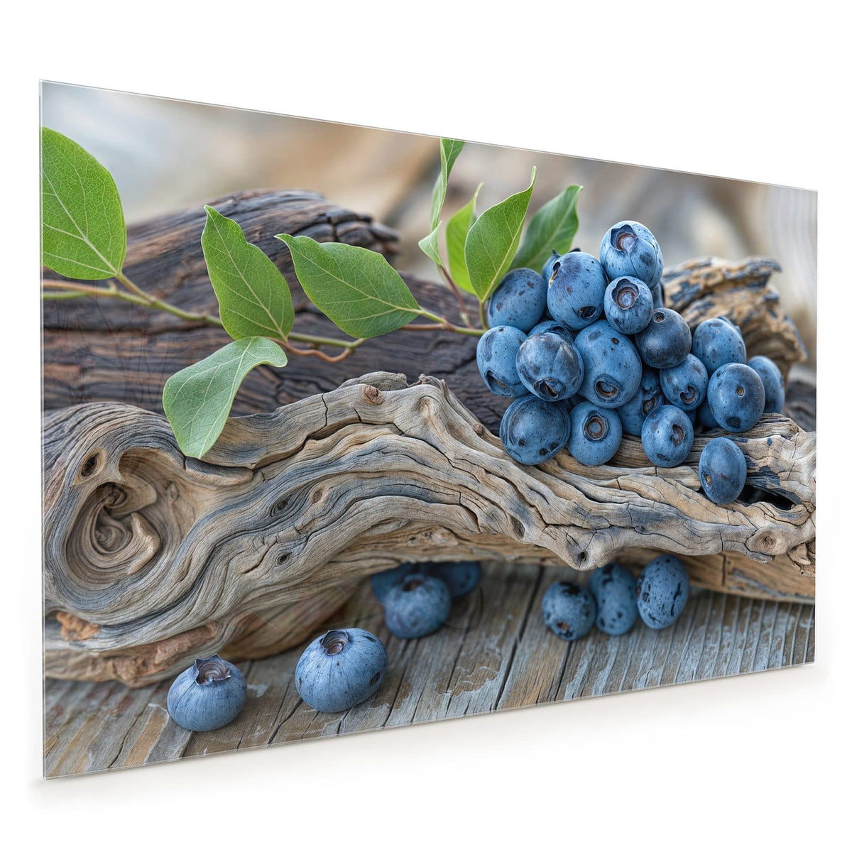 Küchenrückwand aus Glas im Hochformat: Haufen Blaubeeren mit grünen Blättern auf verwittertem Treibholzast, darunter graue Holzdielen