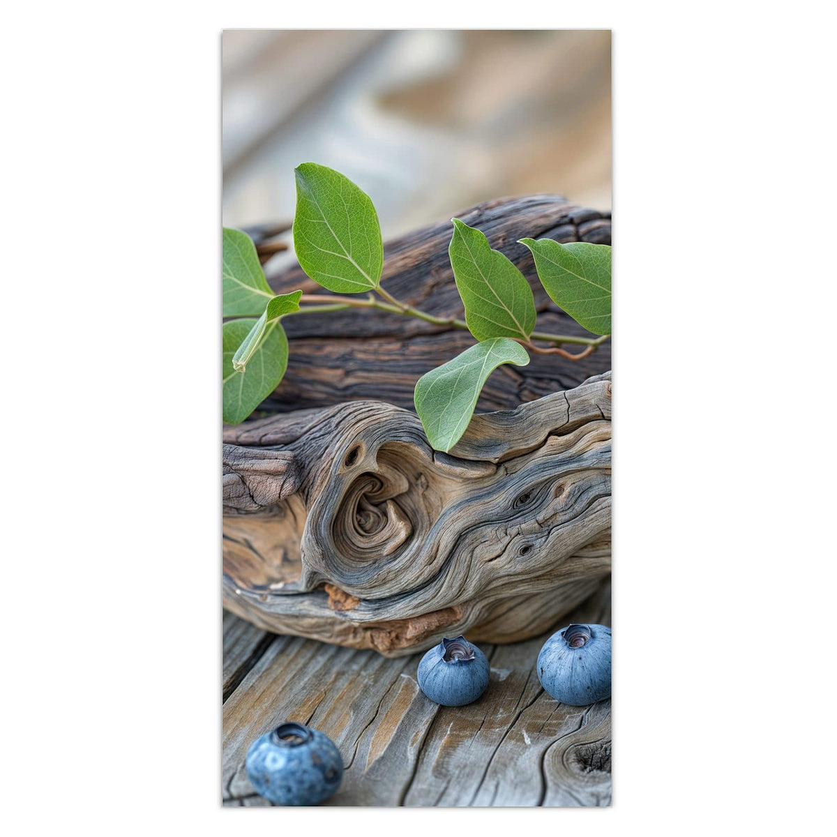 11 Größen – von 30 × 60 bis 60 × 150 cm – Wandbild - Treibholz und Blaubeeren - Hochformat