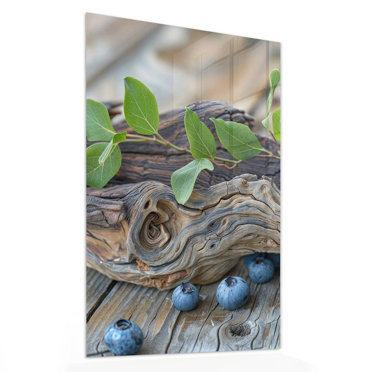 Glasbild Treibholz und Blaubeeren von der Seite, 4 mm Echtglas