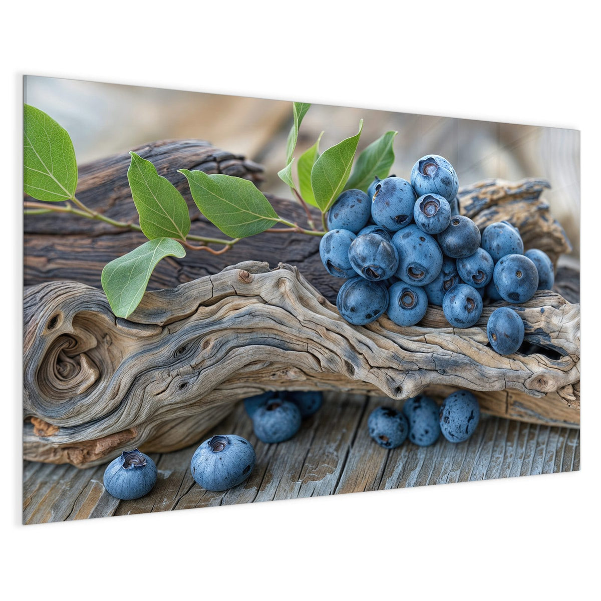 4 mm Glas statt lackiertem Blech – Magnettafel - Treibholz und Blaubeeren