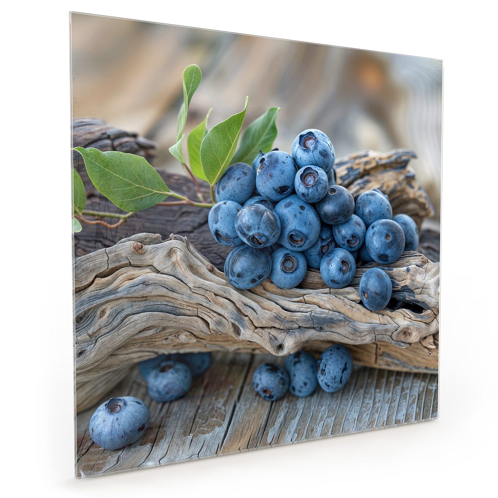 #70 x 70 cm_