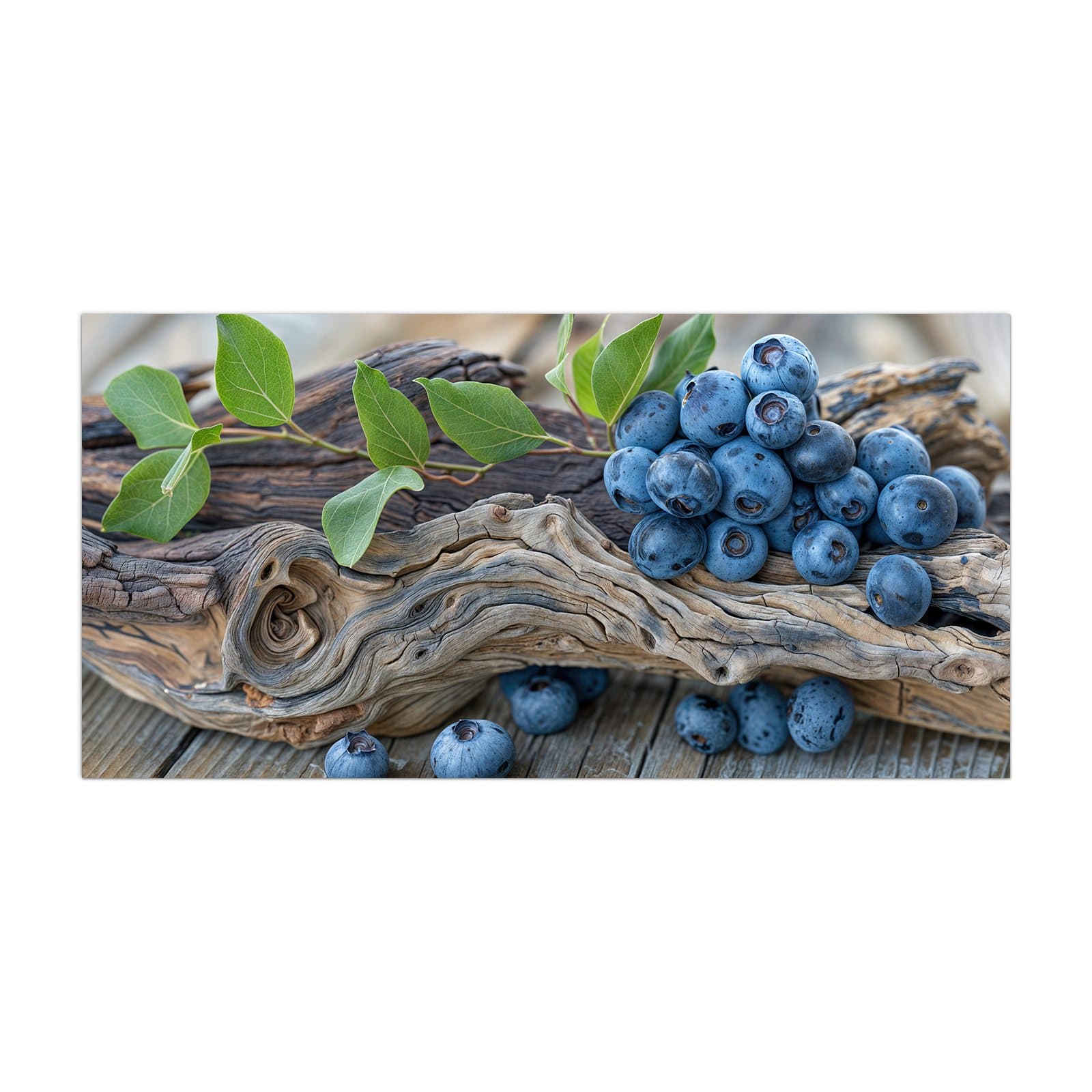 #grösse_40 x 80 cm #grösse_50 x 100 cm #grösse_55 x 110 cm #grösse_60 x 120 cm