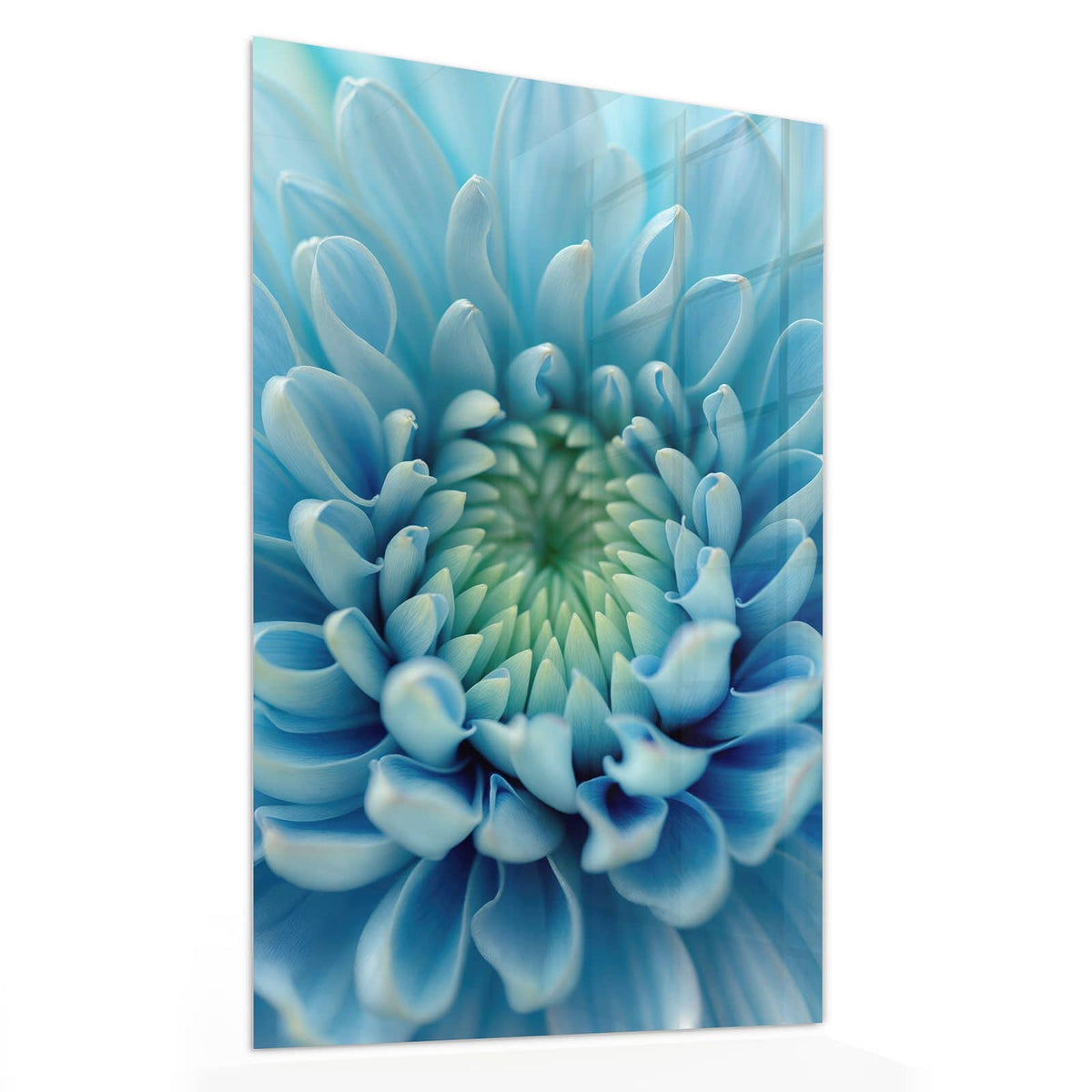 11 Größen – von 30 × 60 bis 60 × 150 cm – Wandbild - Helle Chrysantheme - Hochformat