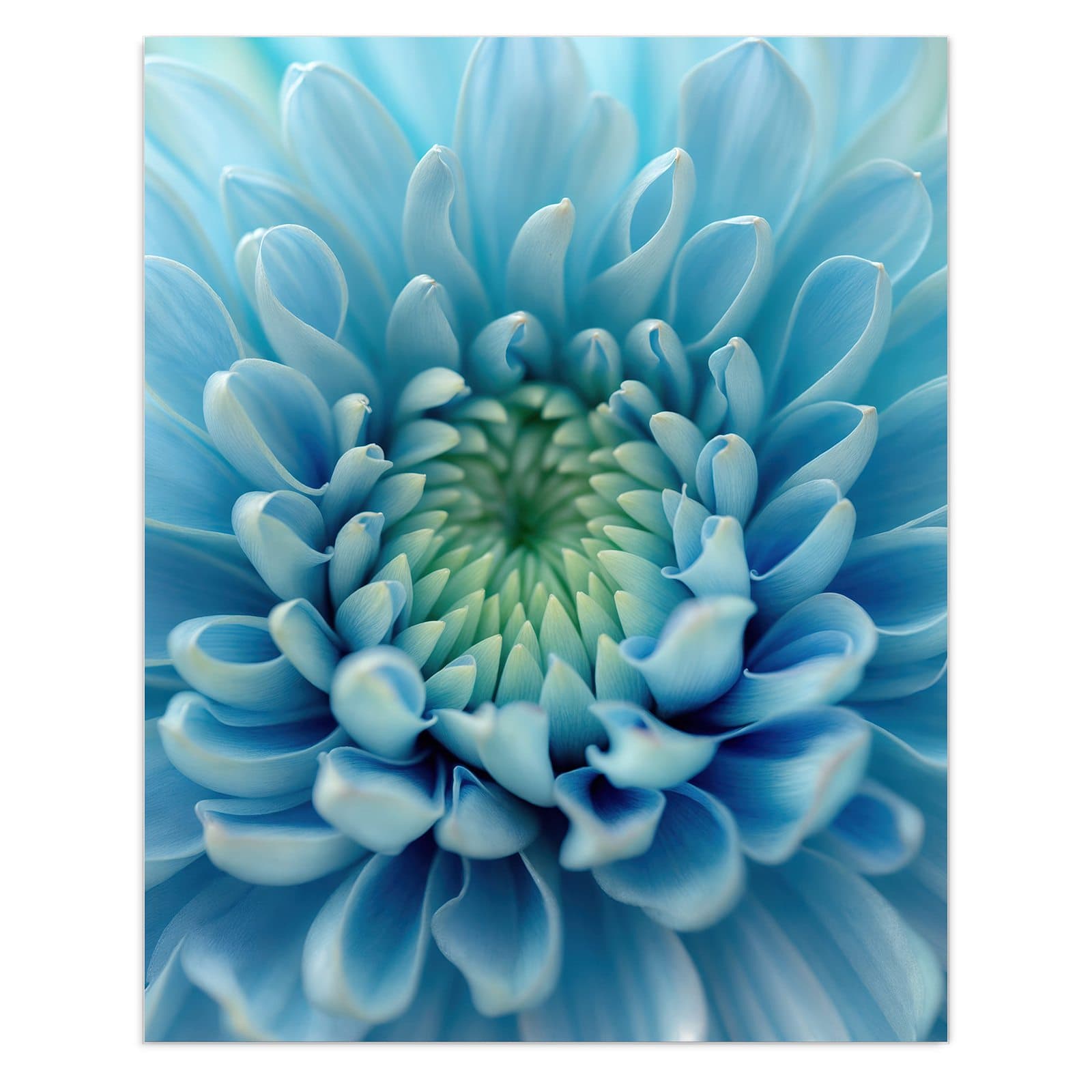#grösse_60 x 75 cm #grösse_80 x 100 cm