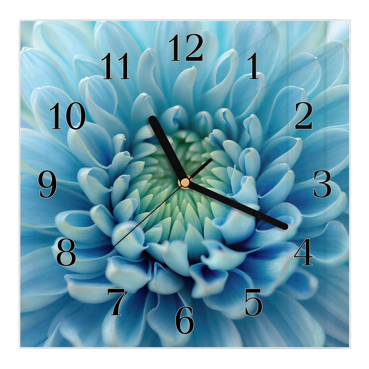 Wanduhr aus Glas, Ziffernblatt Klassisch mit Motiv Helle Chrysantheme: Makro einer hellblauen Chrysantheme