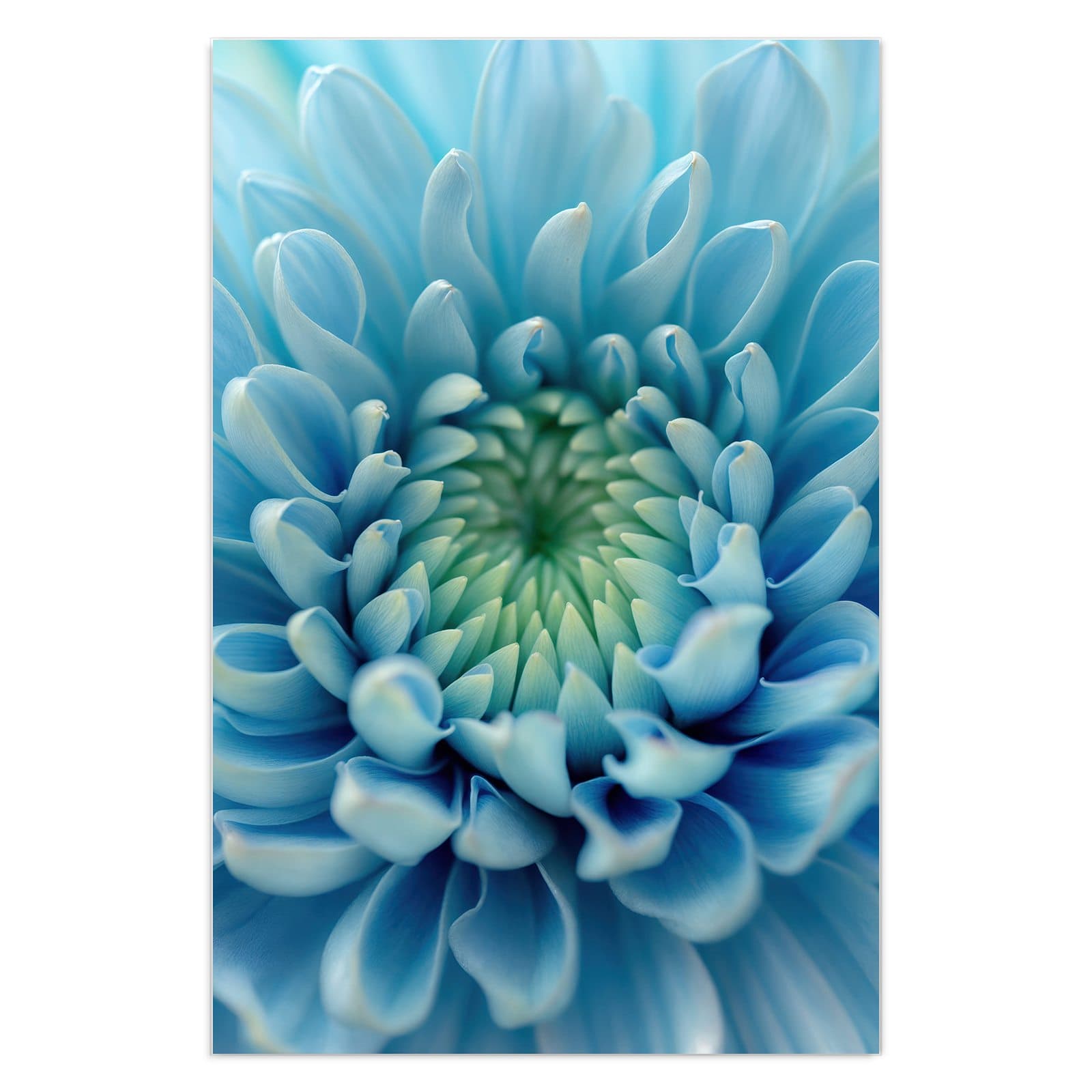 #grösse_40 x 60 cm #grösse_50 x 75 cm #grösse_60 x 90 cm