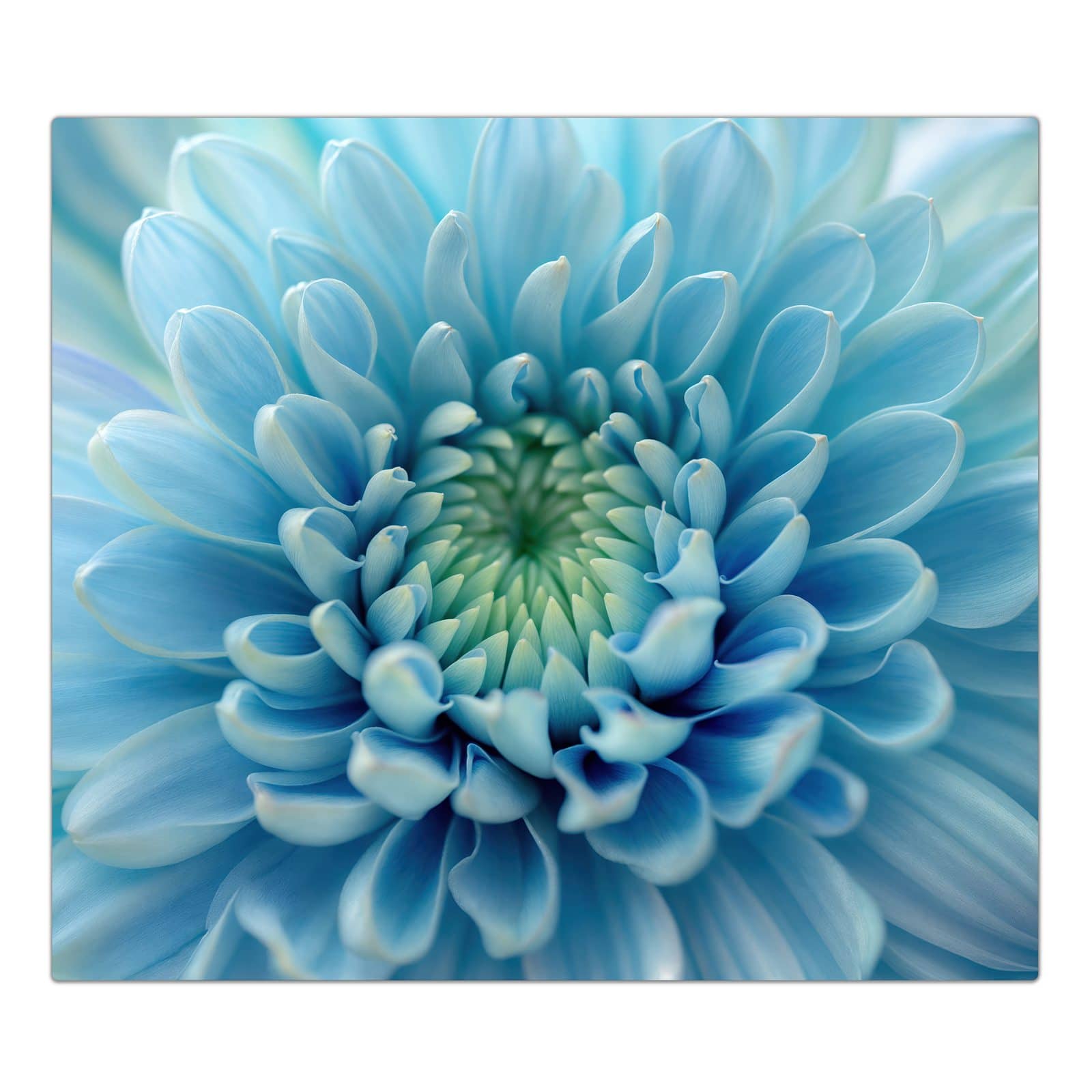 1-teilige Abdeckplatte für Ceranfeld mit Sanfte Blütenzauber-Motiv in der Frontansicht #grösse_1-Teilig (60x52cm)