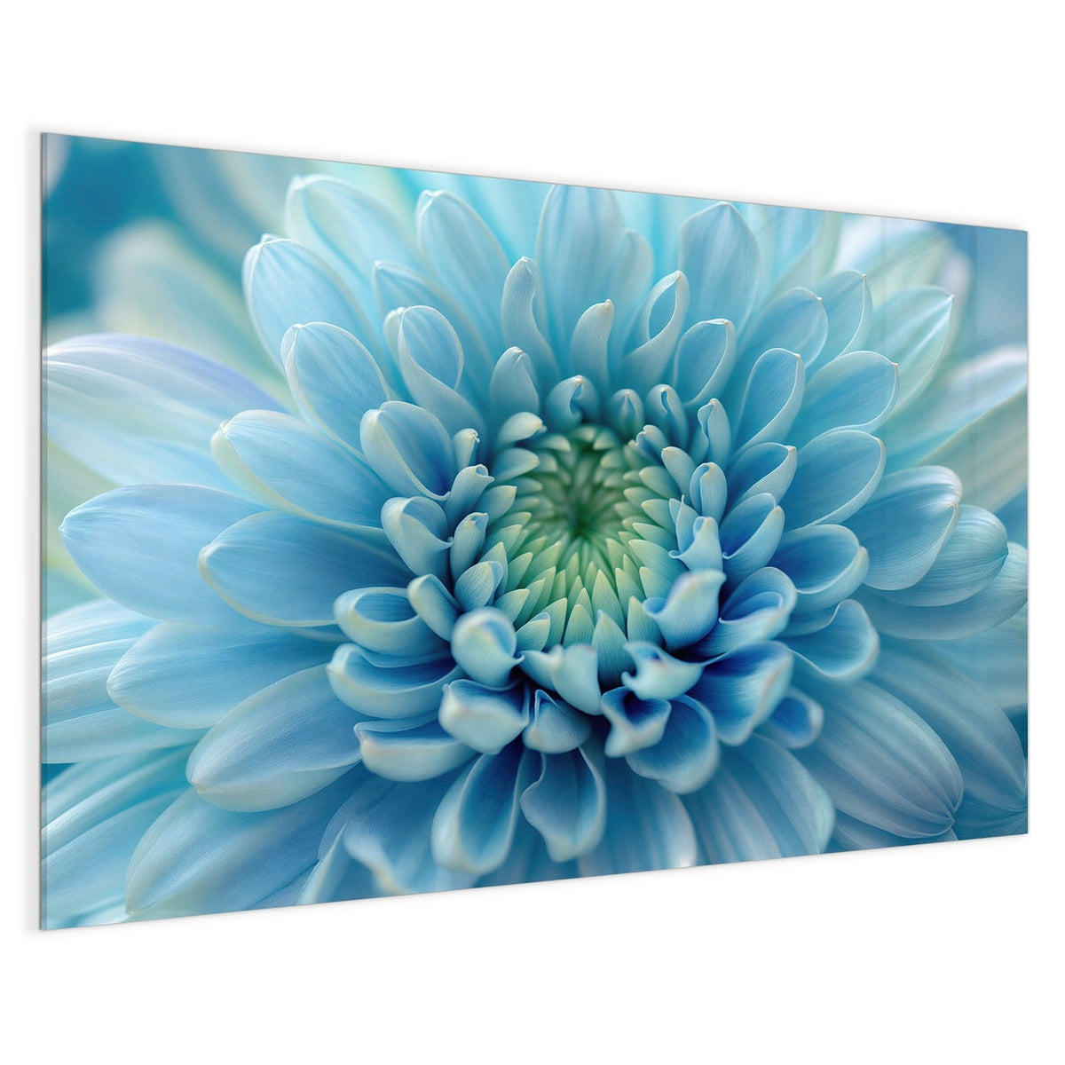 4 mm Glas statt lackiertem Blech – Magnettafel - Helle Chrysantheme