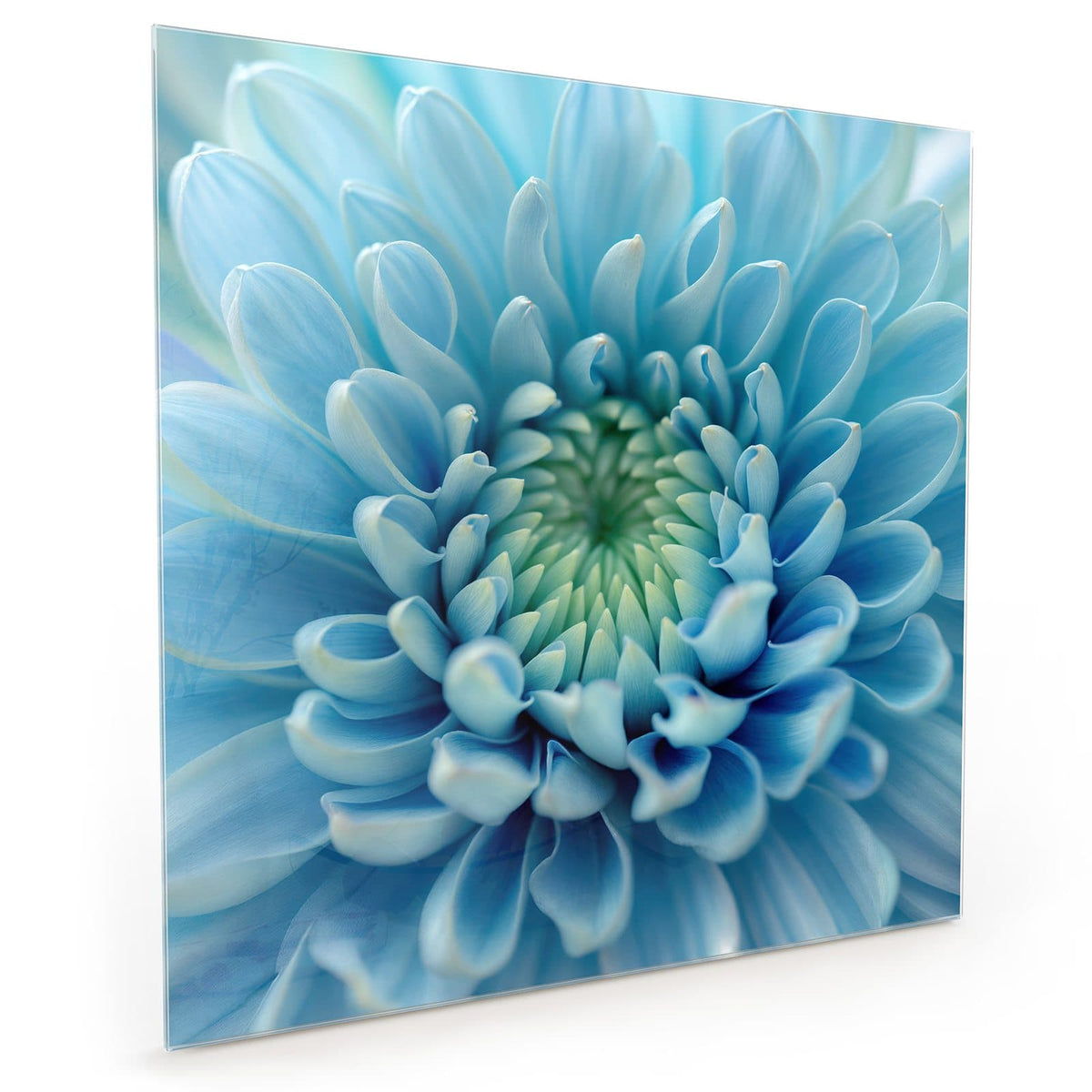 #grösse_40 x 40 cm #grösse_50 x 50 cm #grösse_60 x 60 cm