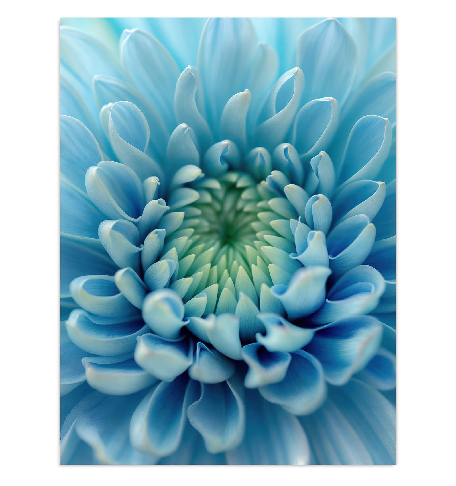 #grösse_30 x 40 cm #grösse_60 x 80 cm #grösse_75 x 100 cm