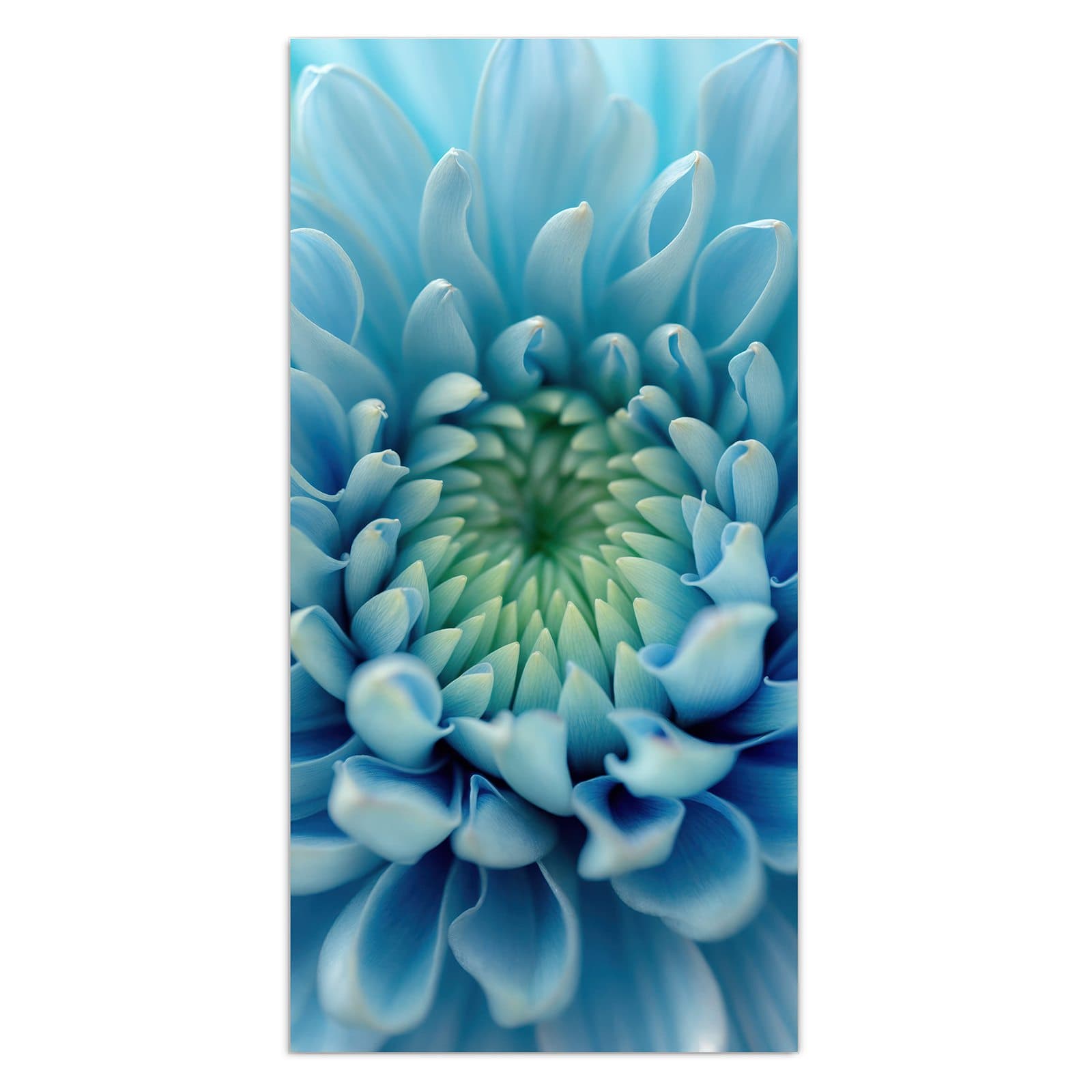 #grösse_30 x 60 cm #grösse_40 x 80 cm #grösse_50 x 100 cm #grösse_55 x 110 cm #grösse_60 x 120 cm