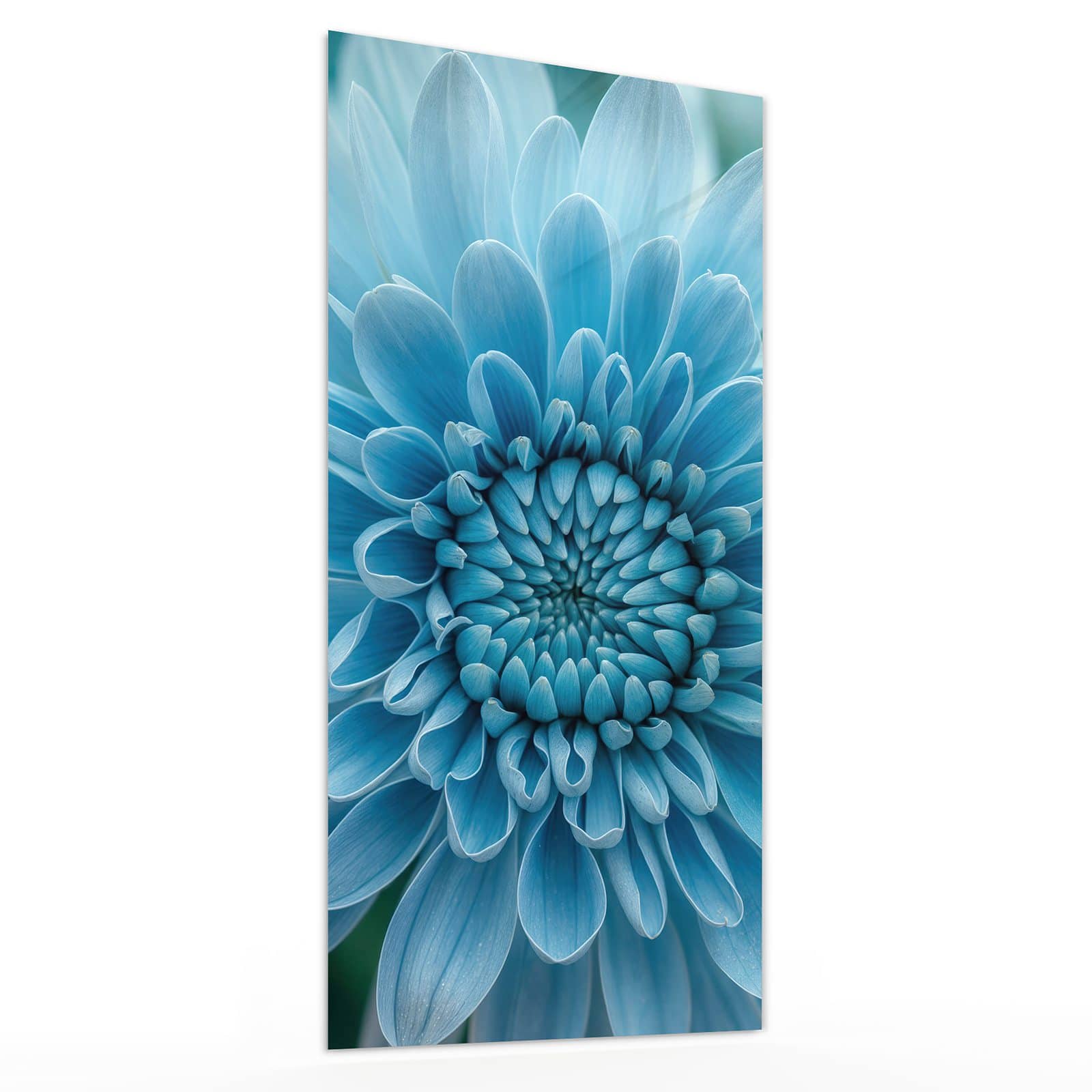 #grösse_30 x 60 cm #grösse_40 x 80 cm #grösse_50 x 100 cm #grösse_55 x 110 cm #grösse_60 x 120 cm
