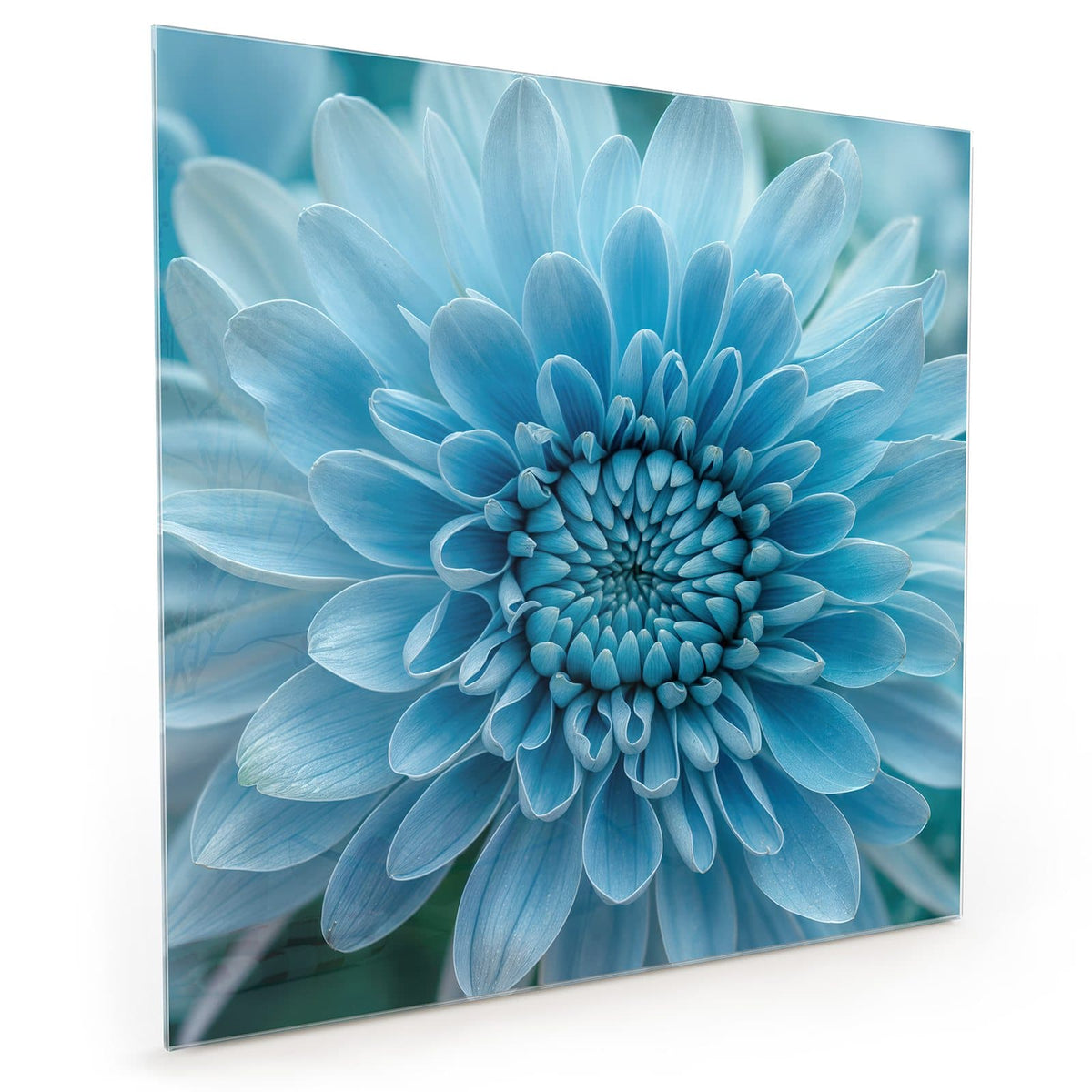 #grösse_40 x 40 cm #grösse_50 x 50 cm #grösse_60 x 60 cm