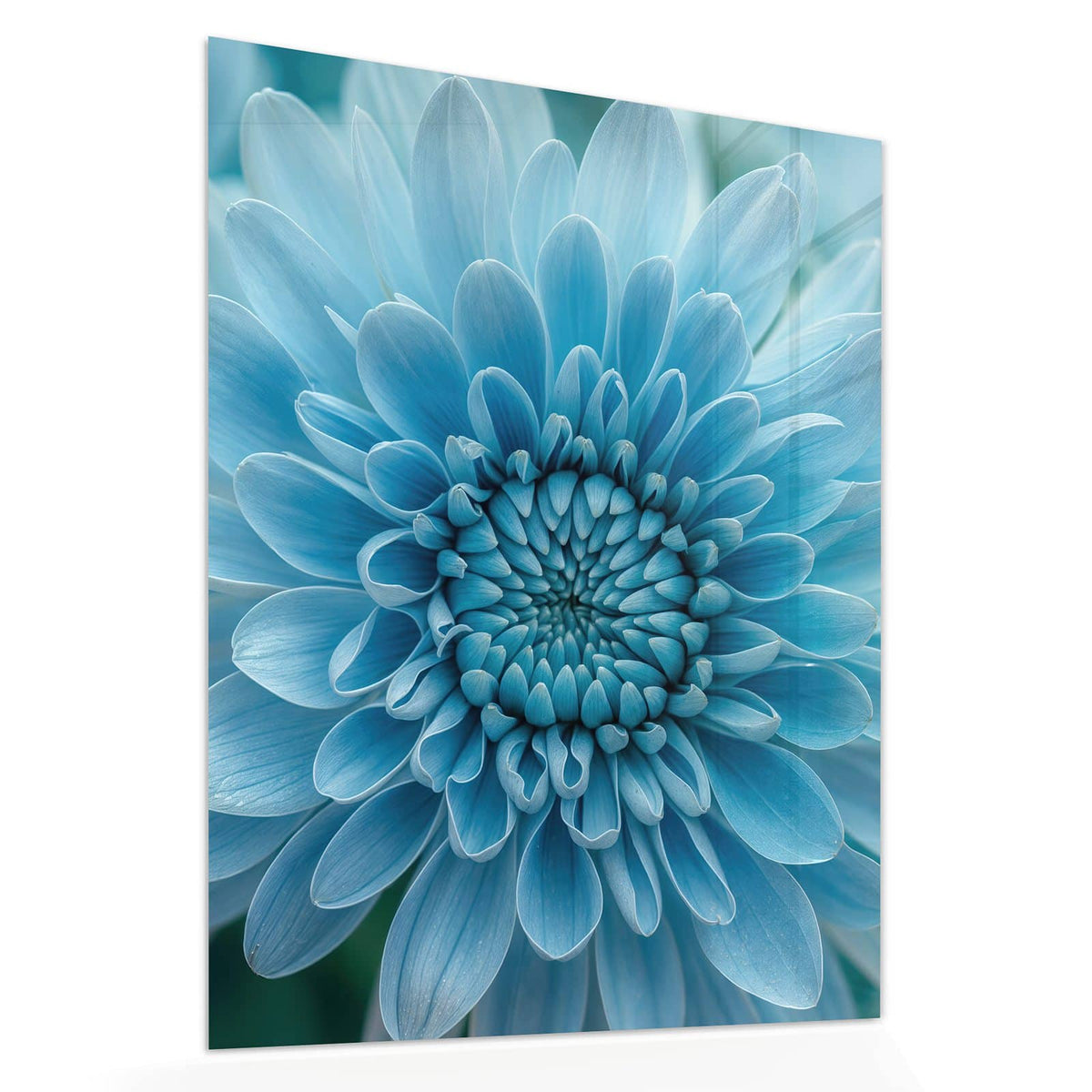 Echtglas, 4 mm – kein Acryl, keine Folie – Wandbild - Blüte mit Türkiskern - Hochformat