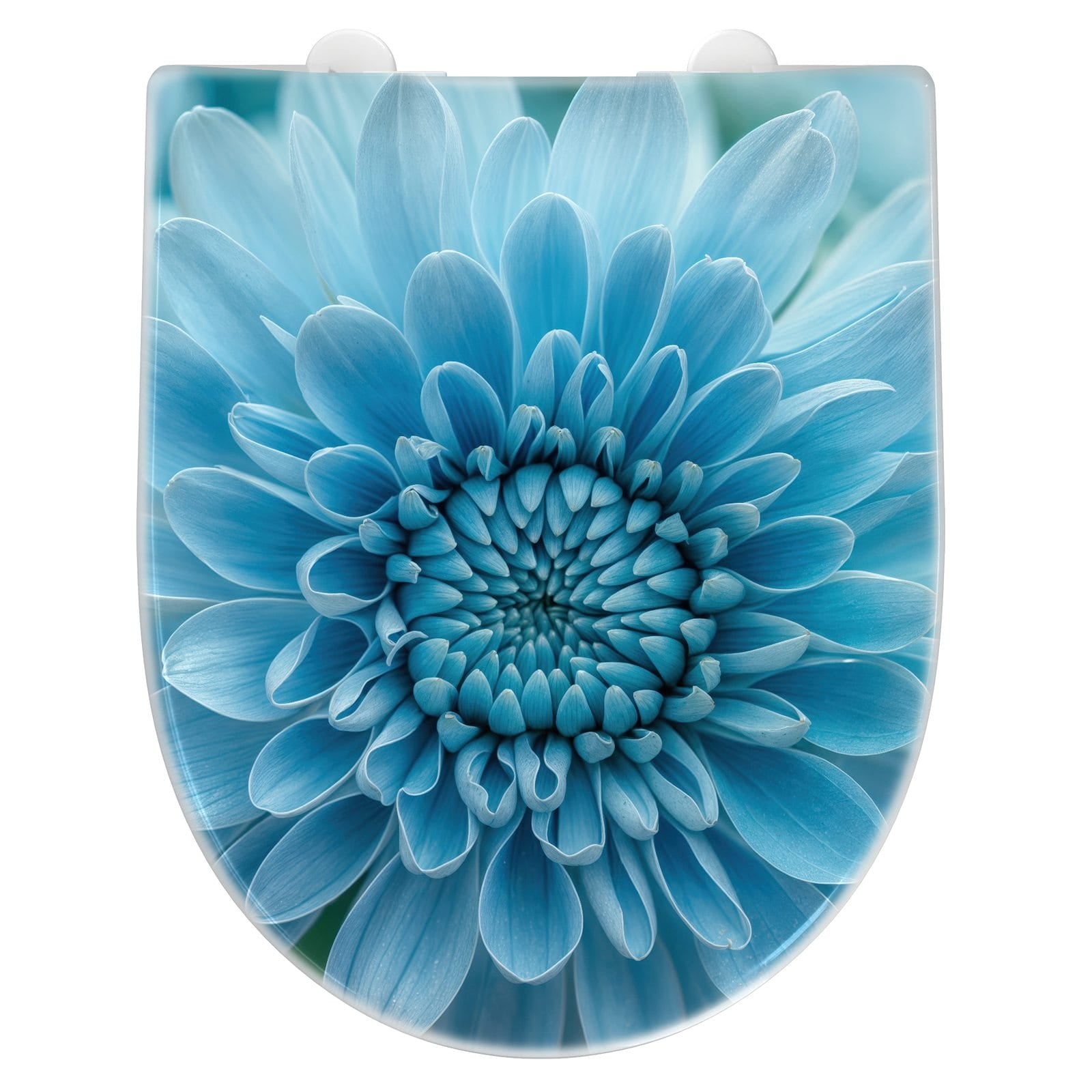 WC-Sitz mit Absenkautomatik Blume von Blaue