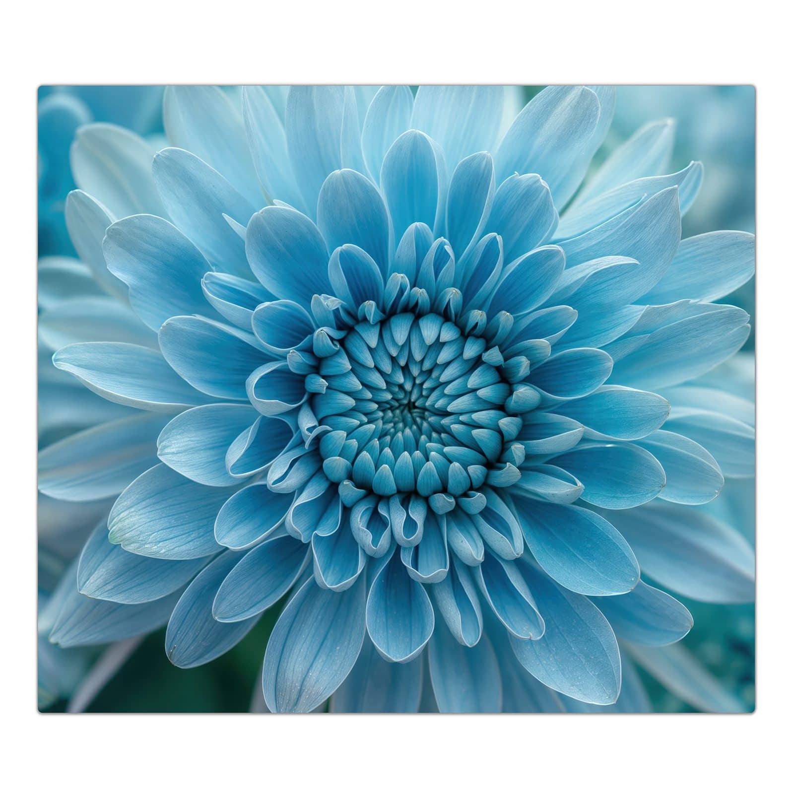 1-teilige Kochfeldabdeckung mit Blaue Blüte Makro-Motiv in der Frontansicht #grösse_1-Teilig (60x52cm)