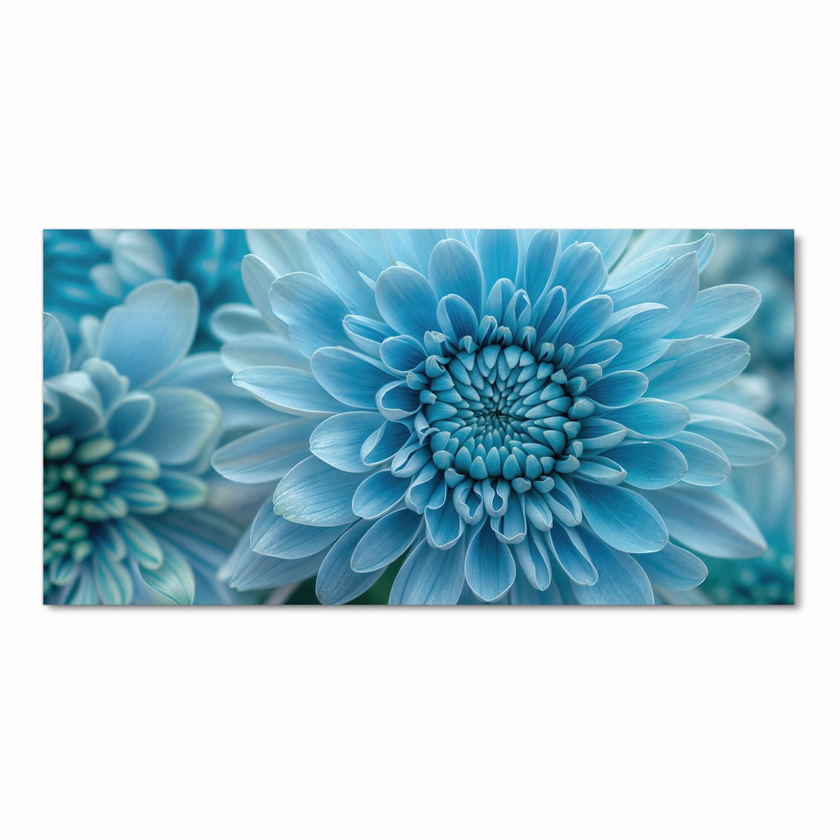 Farbbeständiger Küchenteppich mit Motiv Blume von Blaue in Frontansicht
