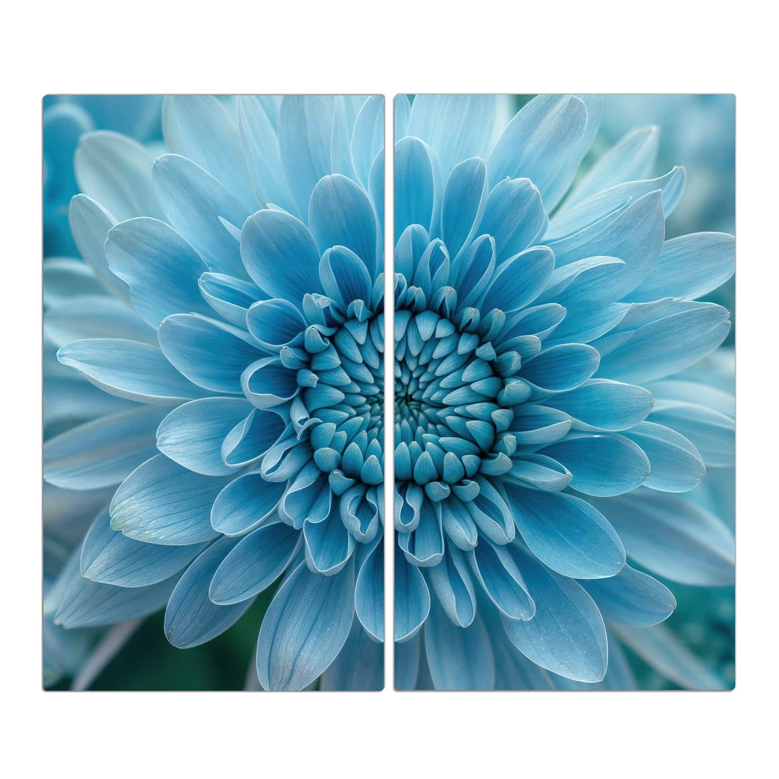 2-teilige Herdabdeckplatte mit Blaue Blüte Makro-Motiv in der Frontansicht #grösse_2-Teilig (60x52cm)