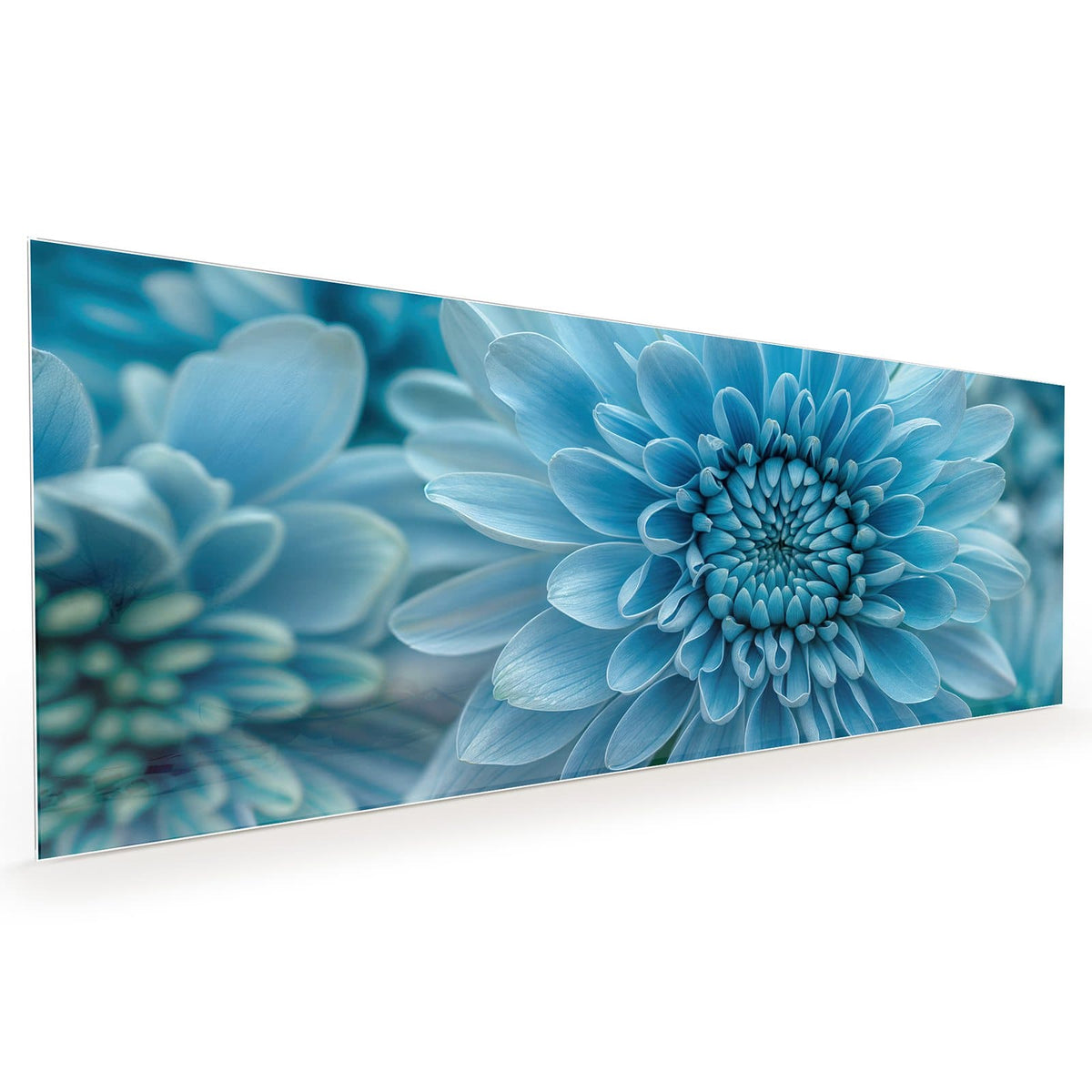 #grösse_40 x 100 cm #grösse_50 x 125 cm #grösse_60 x 150 cm