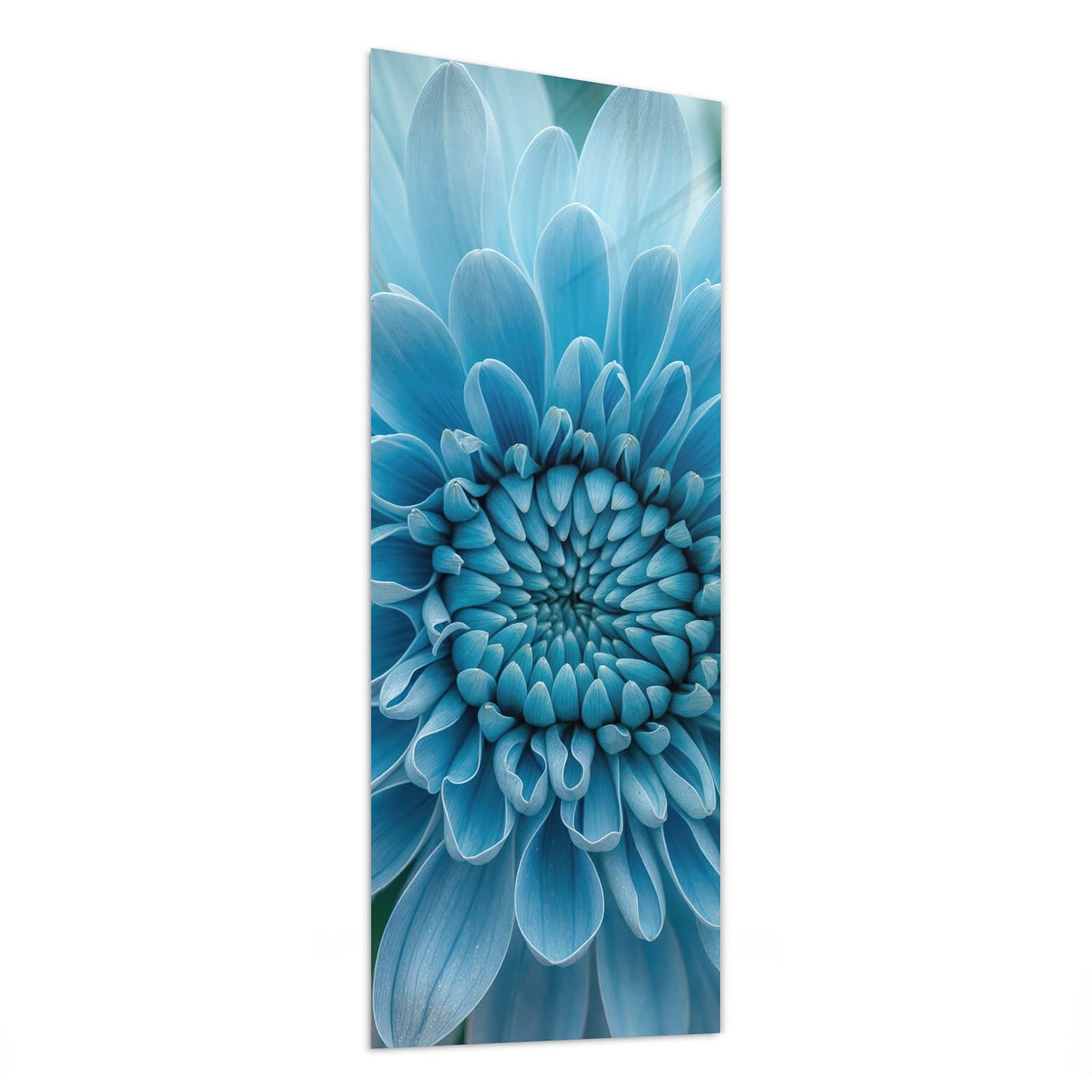 #grösse_50 x 125 cm #grösse_40 x 100 cm #grösse_60 x 150 cm