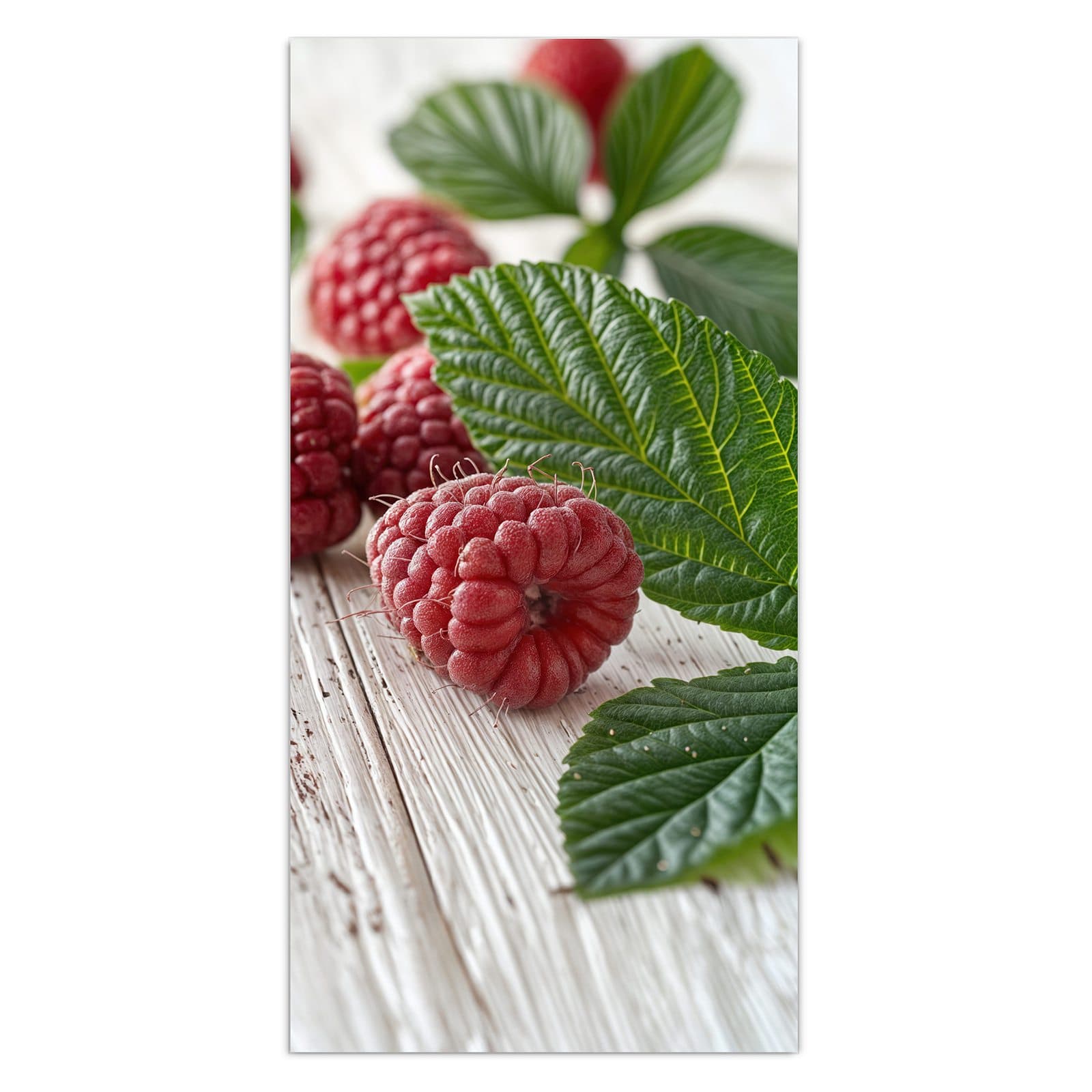 #grösse_30 x 60 cm #grösse_40 x 80 cm #grösse_50 x 100 cm #grösse_55 x 110 cm #grösse_60 x 120 cm