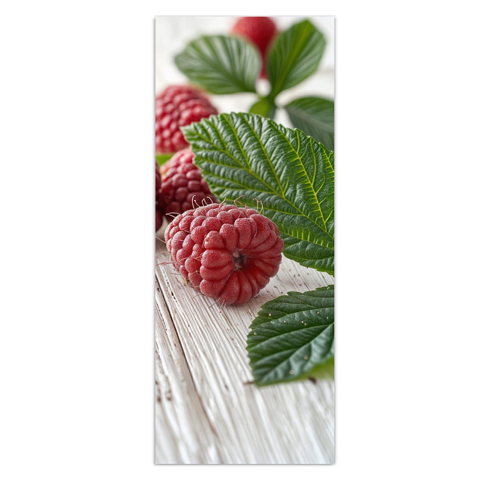 #grösse_50 x 125 cm #grösse_40 x 100 cm #grösse_60 x 150 cm