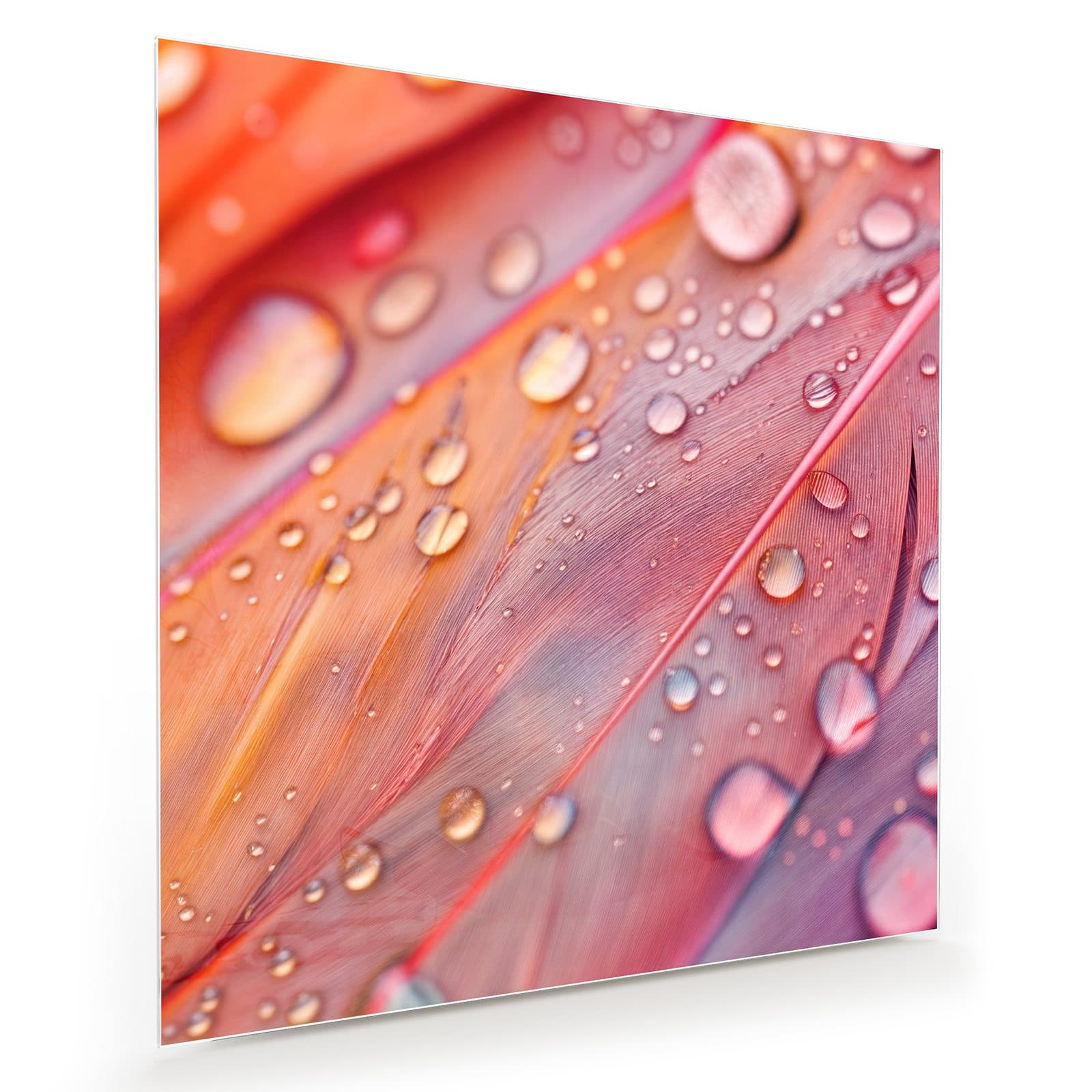 #grösse_30 x 30 cm #grösse_40 x 40 cm #grösse_50 x 50 cm #grösse_60 x 60 cm #grösse_70 x 70 cm #grösse_80 x 80 cm #grösse_90 x 90 cm #grösse_100 x 100 cm