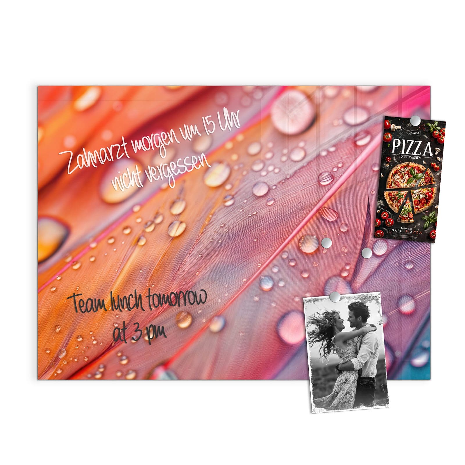 #grösse_120 x 90 cm