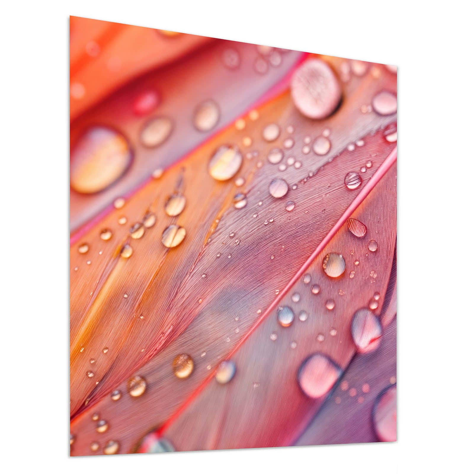 #grösse_90 x 100 cm