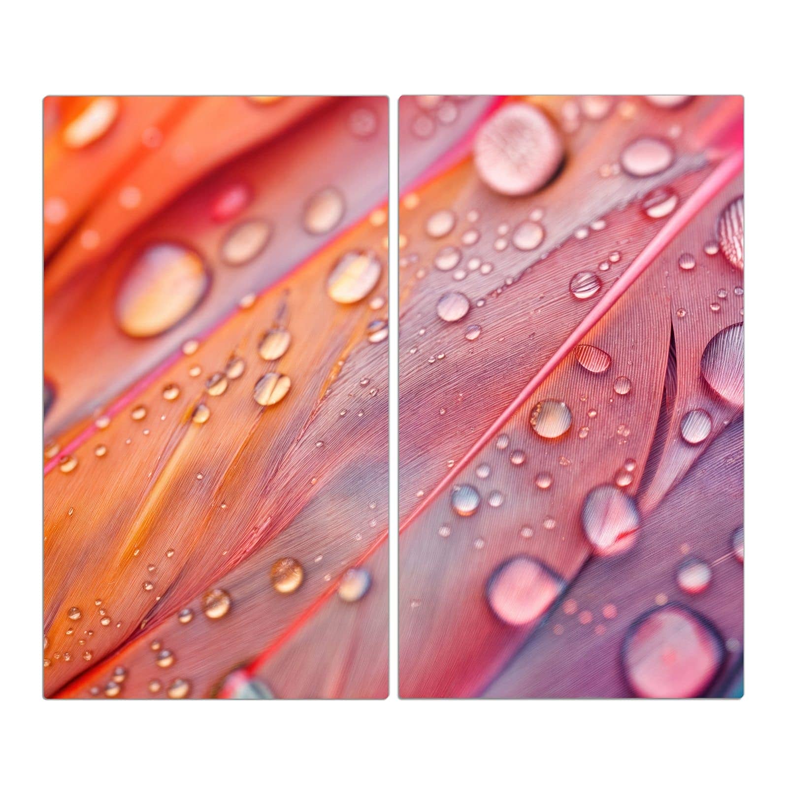 2-teilige Herdabdeckplatten aus Glas mit Wassertropfen auf Federn-Motiv in der Frontansicht #grösse_2-Teilig (60x52cm)